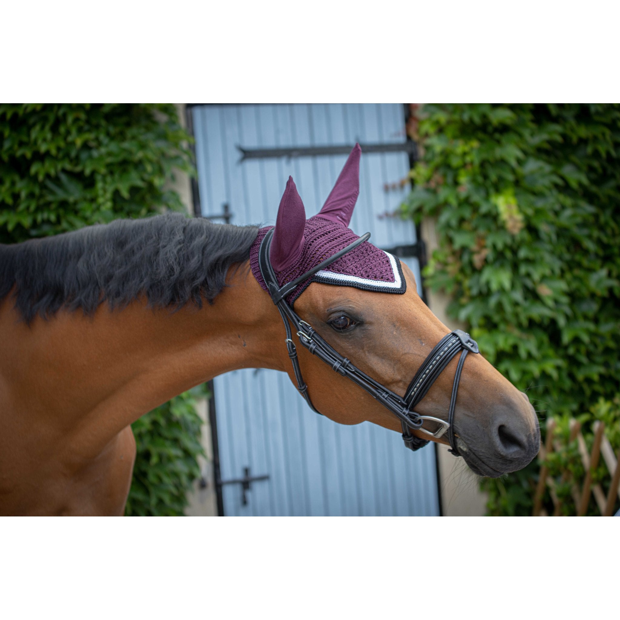 Paddock Sports Origine Fly Veil Plum - 306988034_ambi_3