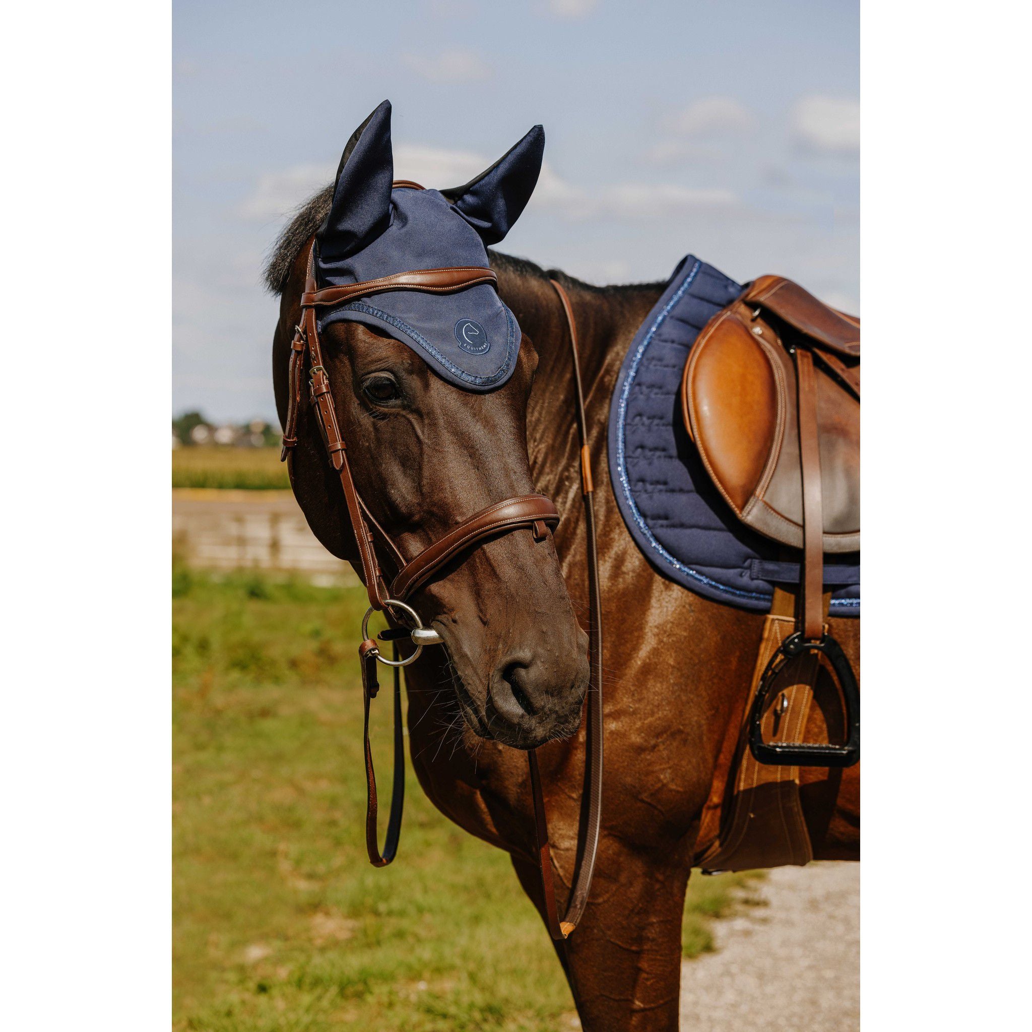 Je t’aime EQUITHÈME Origine Saddle Pad - All purpose Blue 204508007