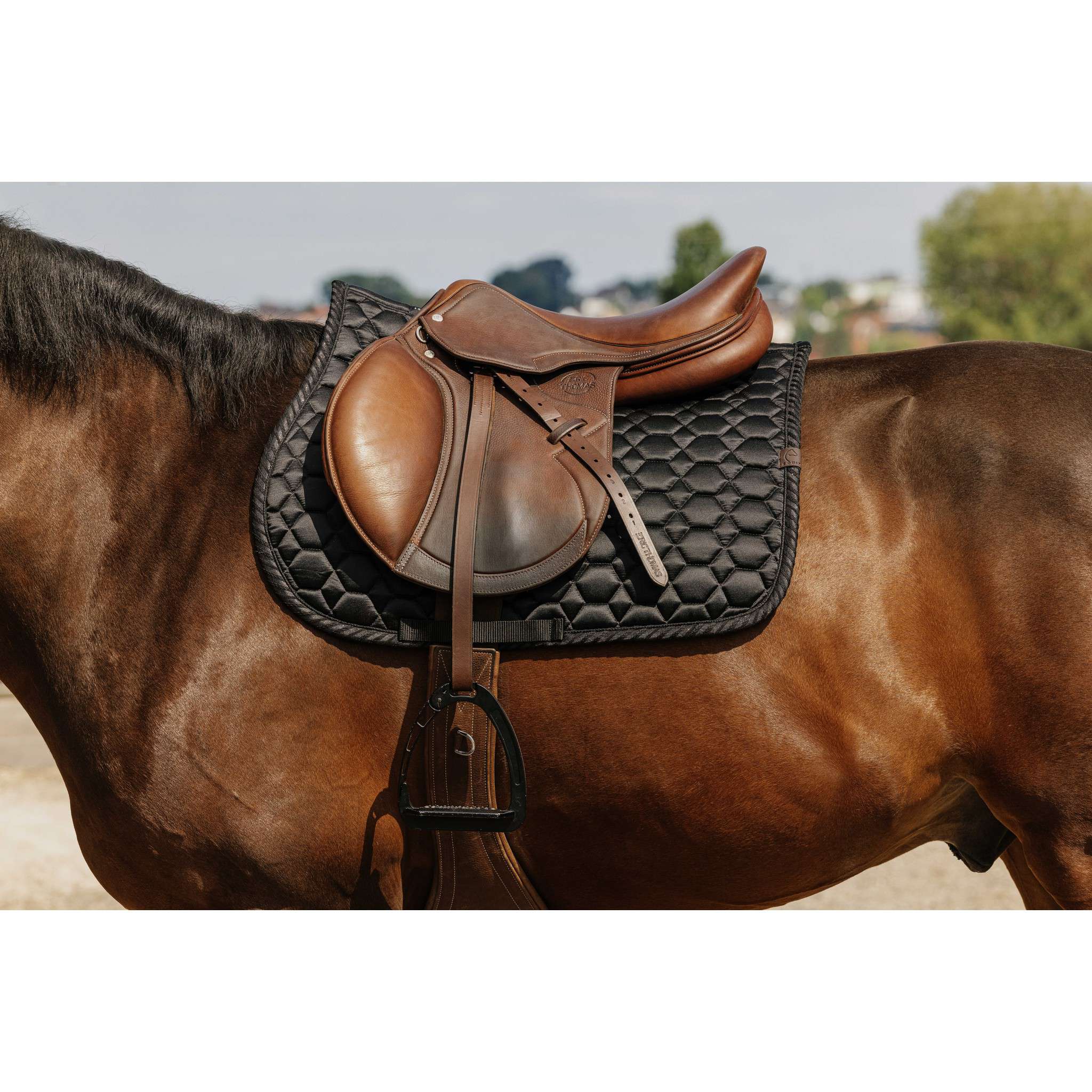 EQUITHÈME Pretty Saddle Pad - All purpose Black 204010002