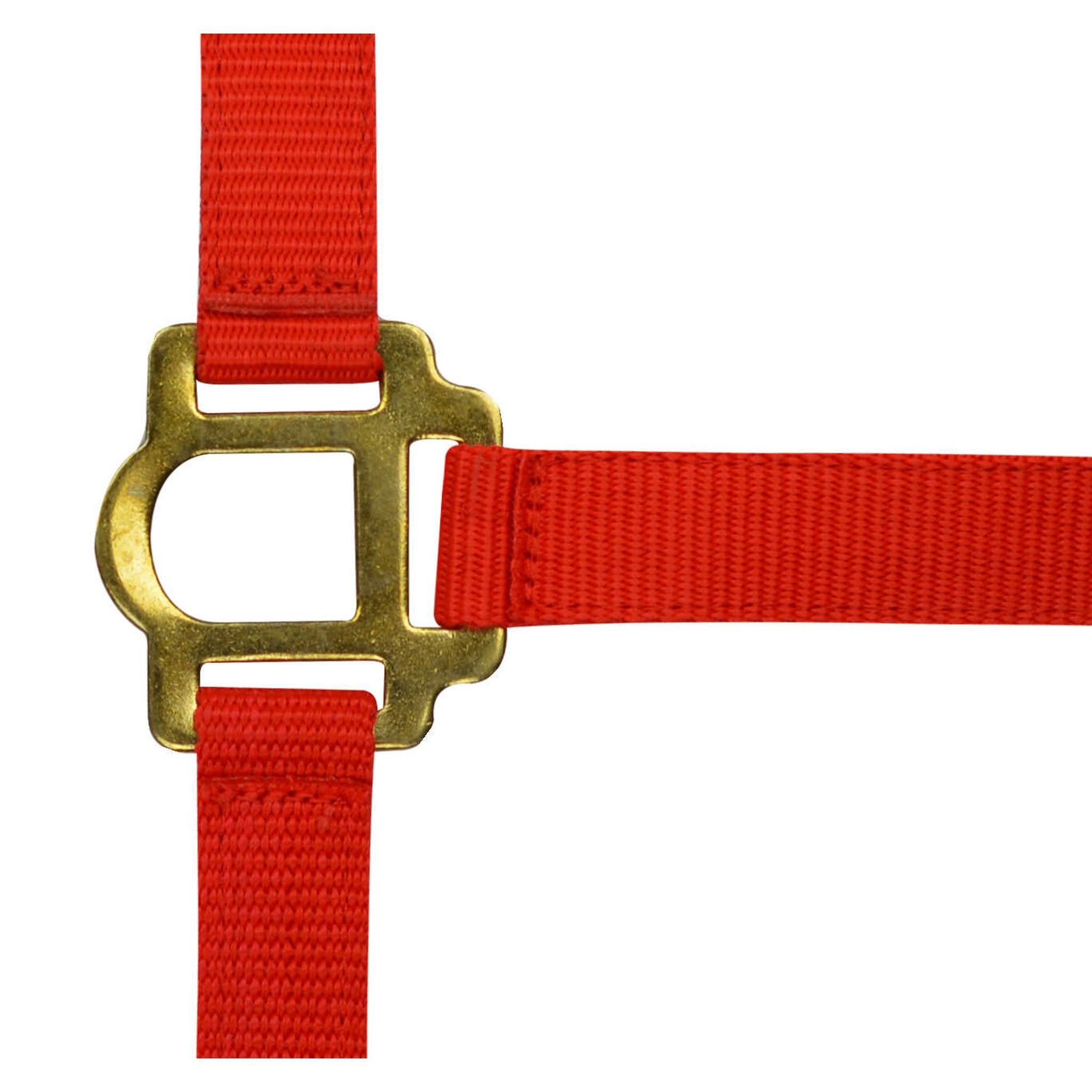 Riding World Nylon headcollar Red 510030003