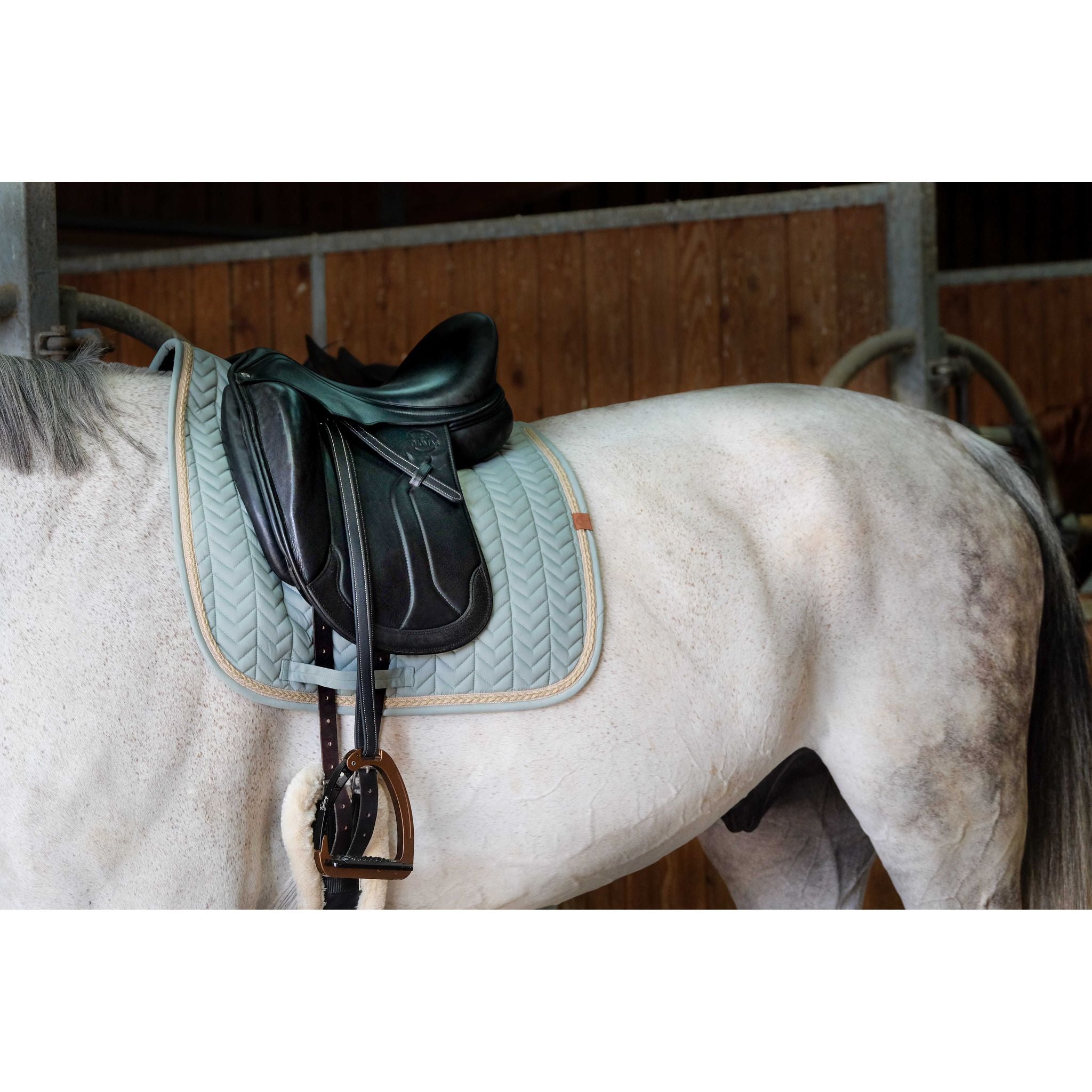 EQUITHÈME Softy Dressage Saddle Pad Light green - 204766009_ambi_1