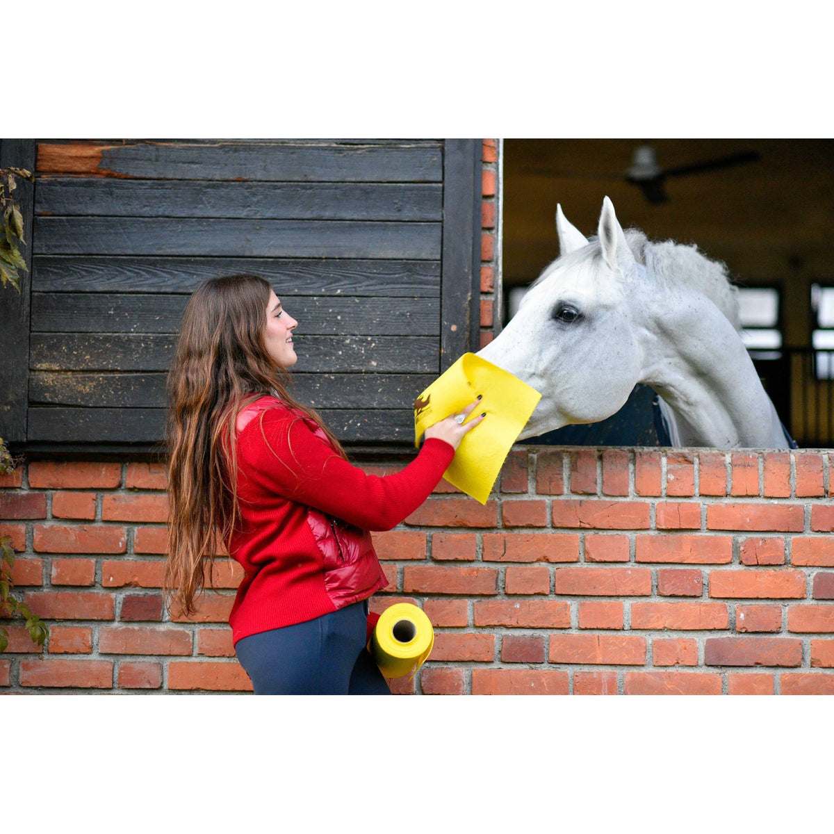HorseWipe Reusable Paper Towel Roll - Yellow - 704100000_ambi_4