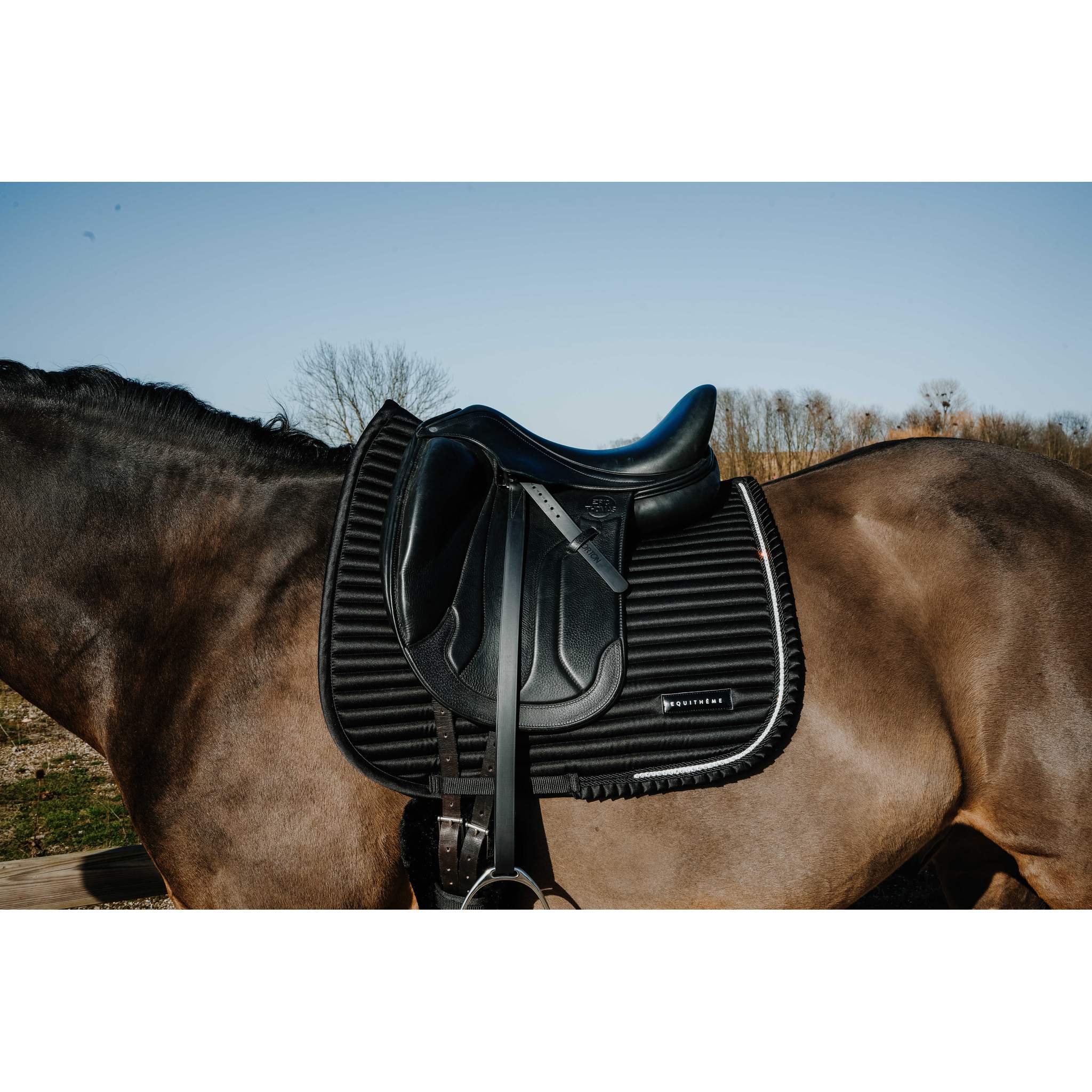 EQUITHÈME Glam Dressage Saddle Pad Black - 204025002_ambi_1