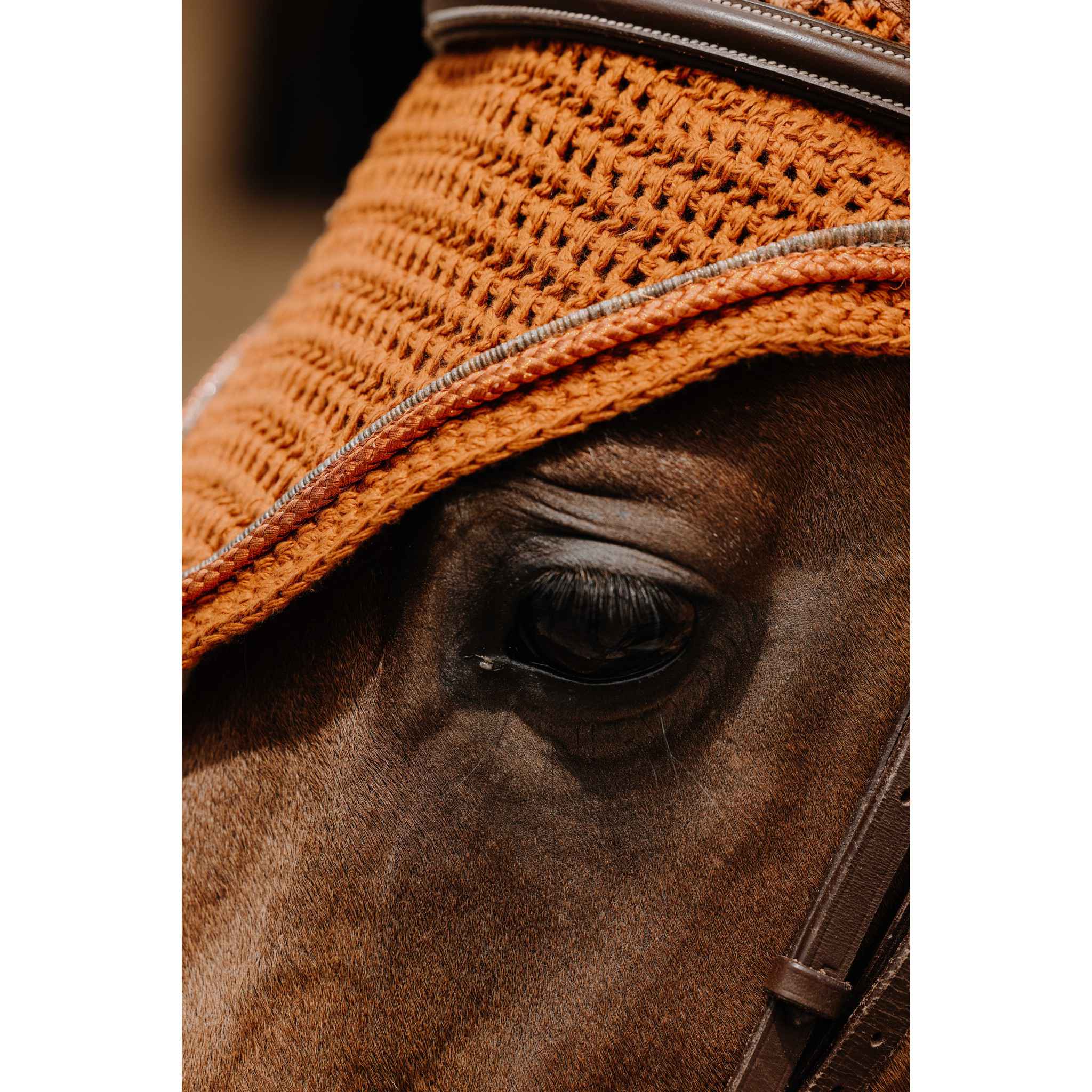 EQUITHÈME Hexalight fly veil Rust 306882024