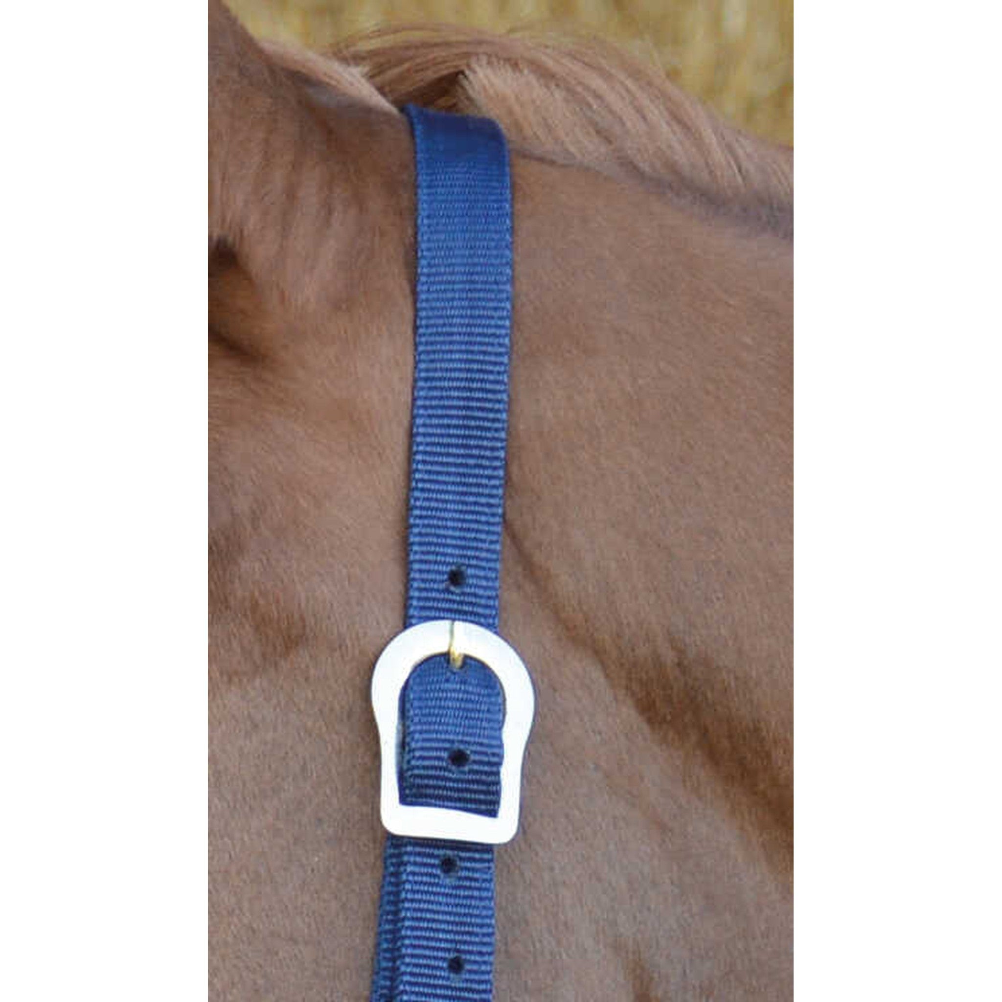 Riding World Nylon headcollar Navy blue 510032007