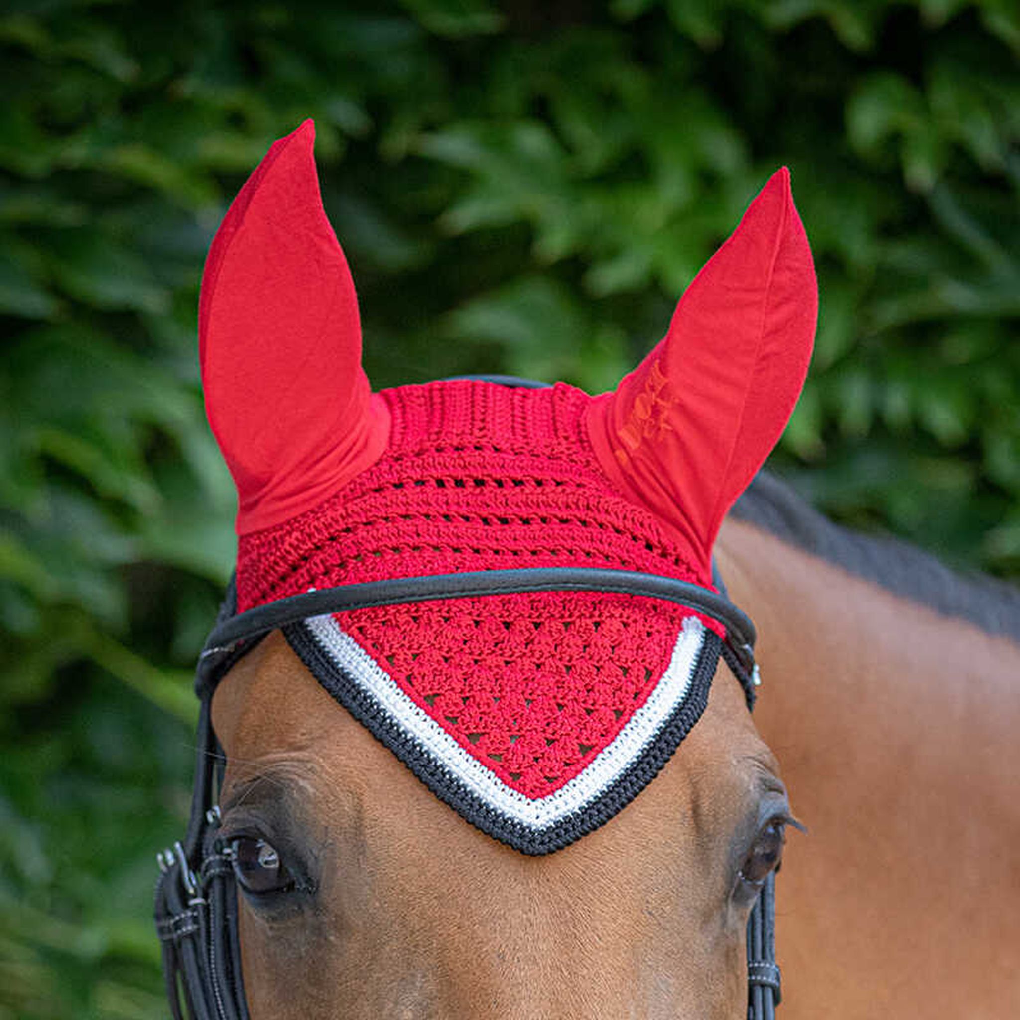 Paddock Sports Origine Fly Veil Red - 306988003_ambi_5