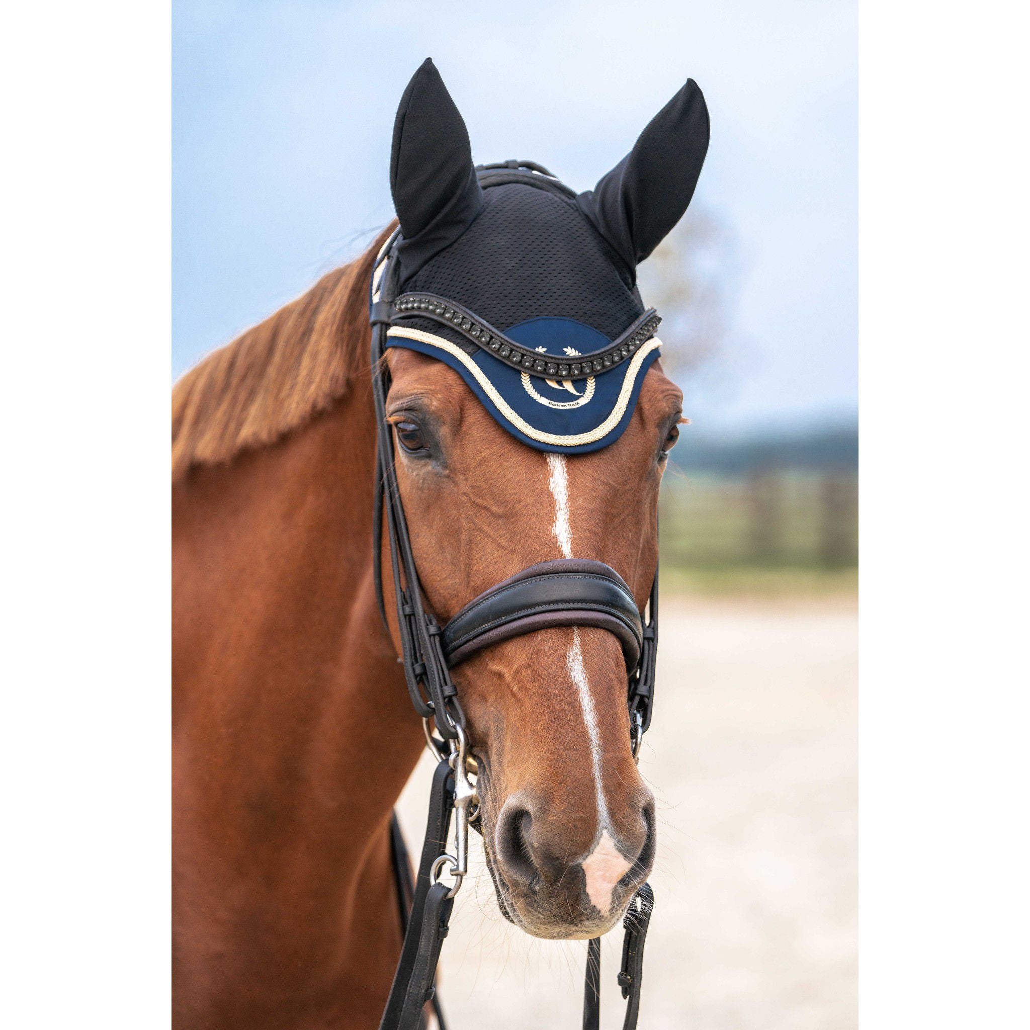 Back on Track® Night Collection Fly veil with ears Blue b24045003