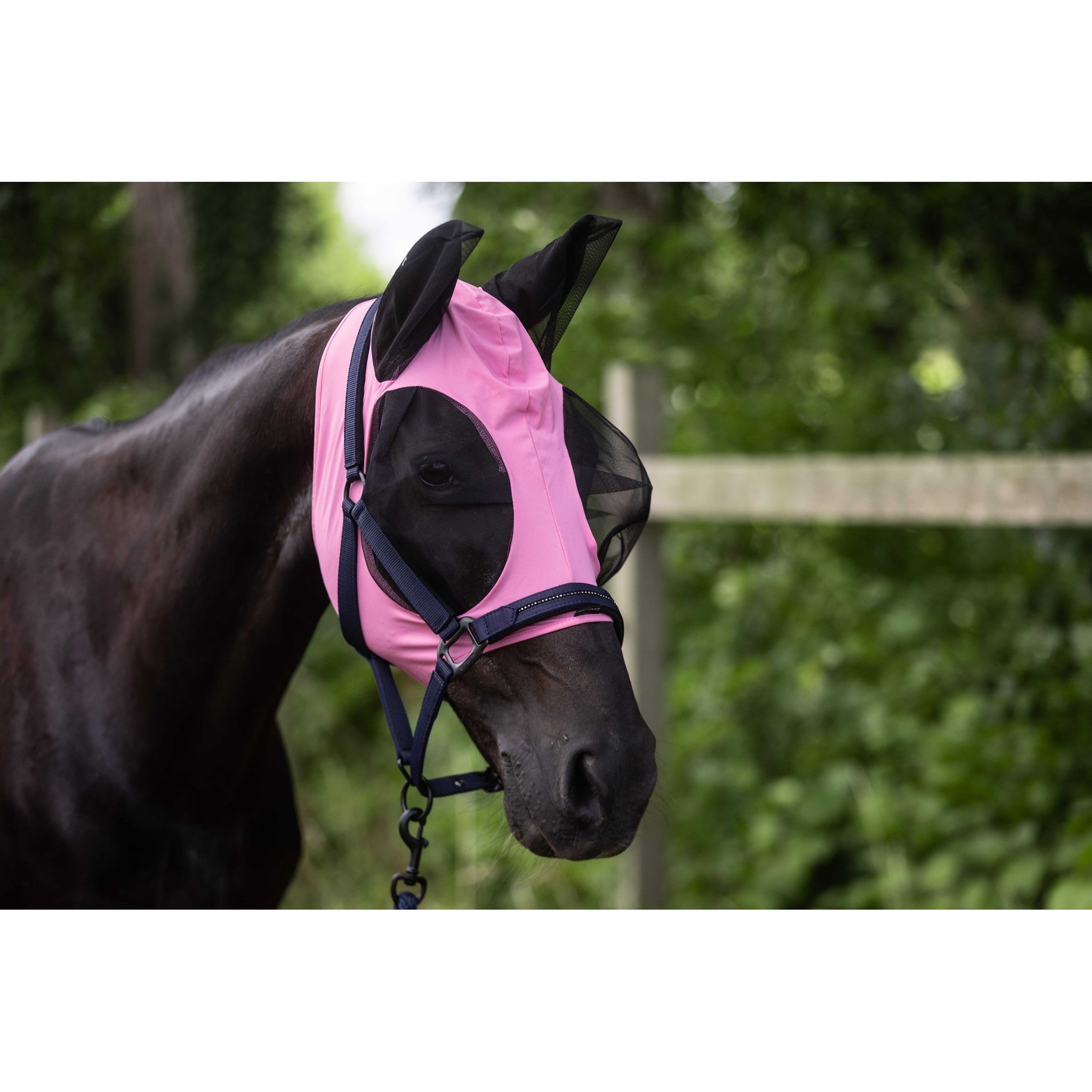 LAMI-CELL Lycra Fly Mask Pink - 306046213_ambi_6