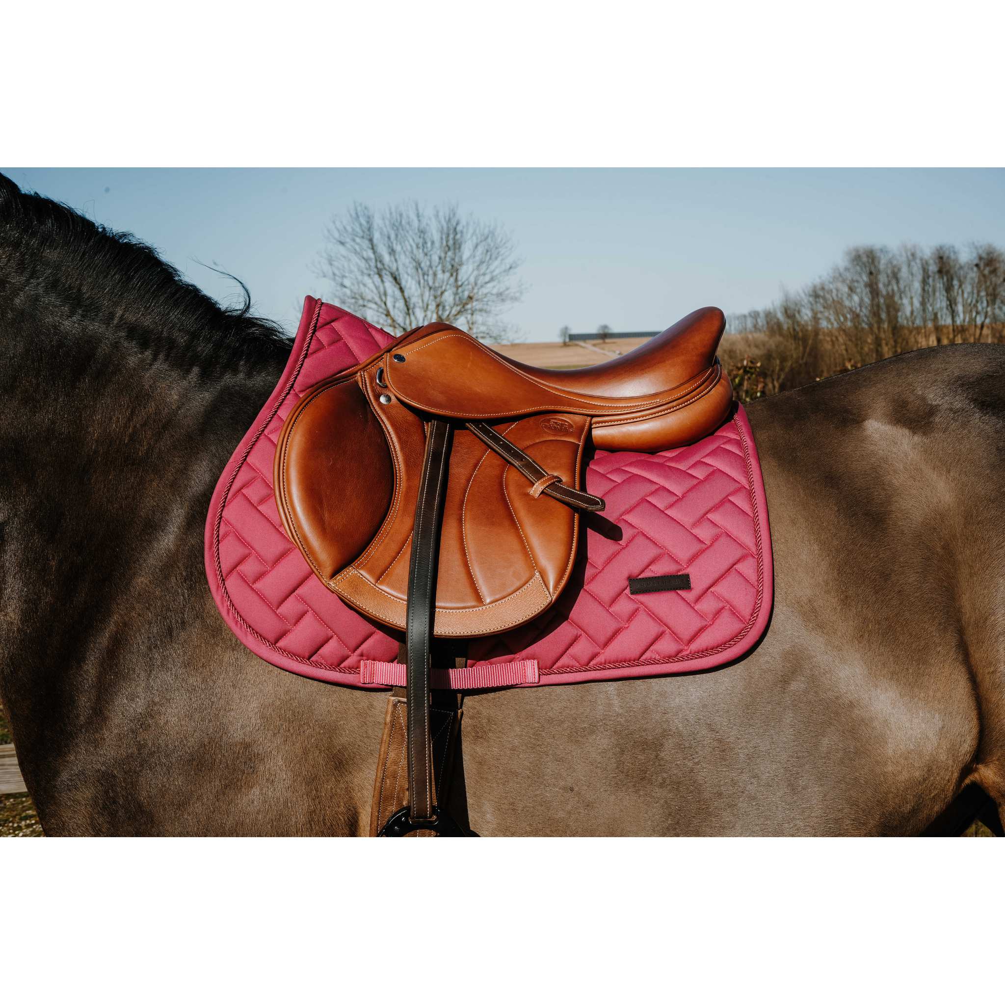 EQUITHÈME Starlet All-Purpose Saddle Pad Red - 204027003_ambi_1