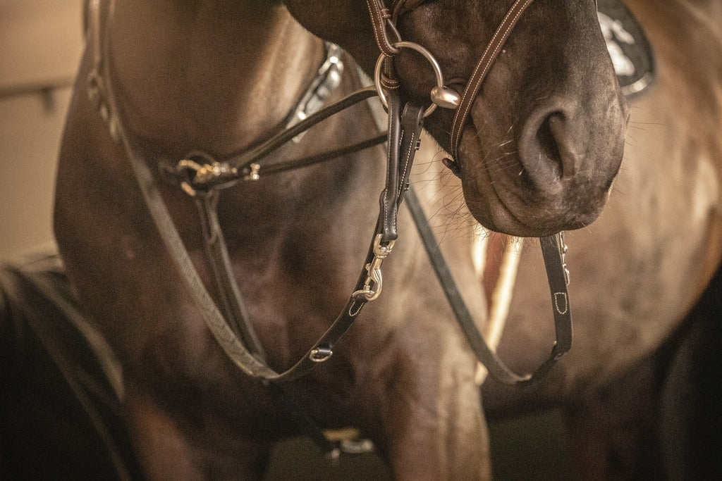 Pénélope Howlett training aid Black