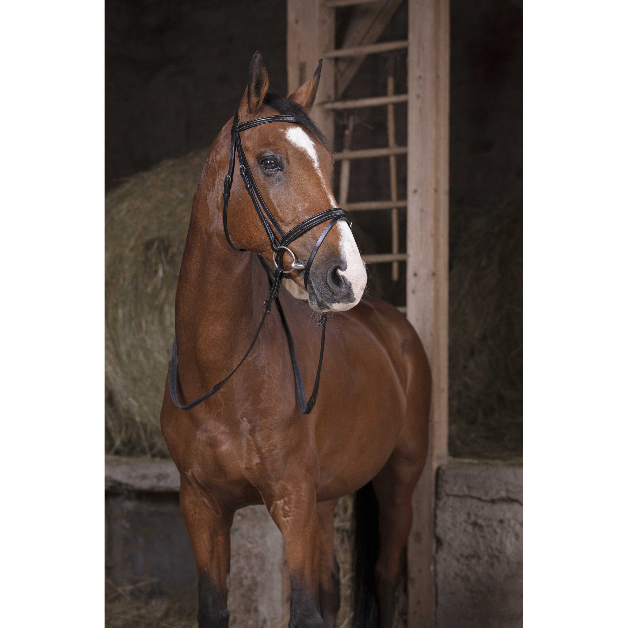 Rubber Reins Norton Pro Black 305631302