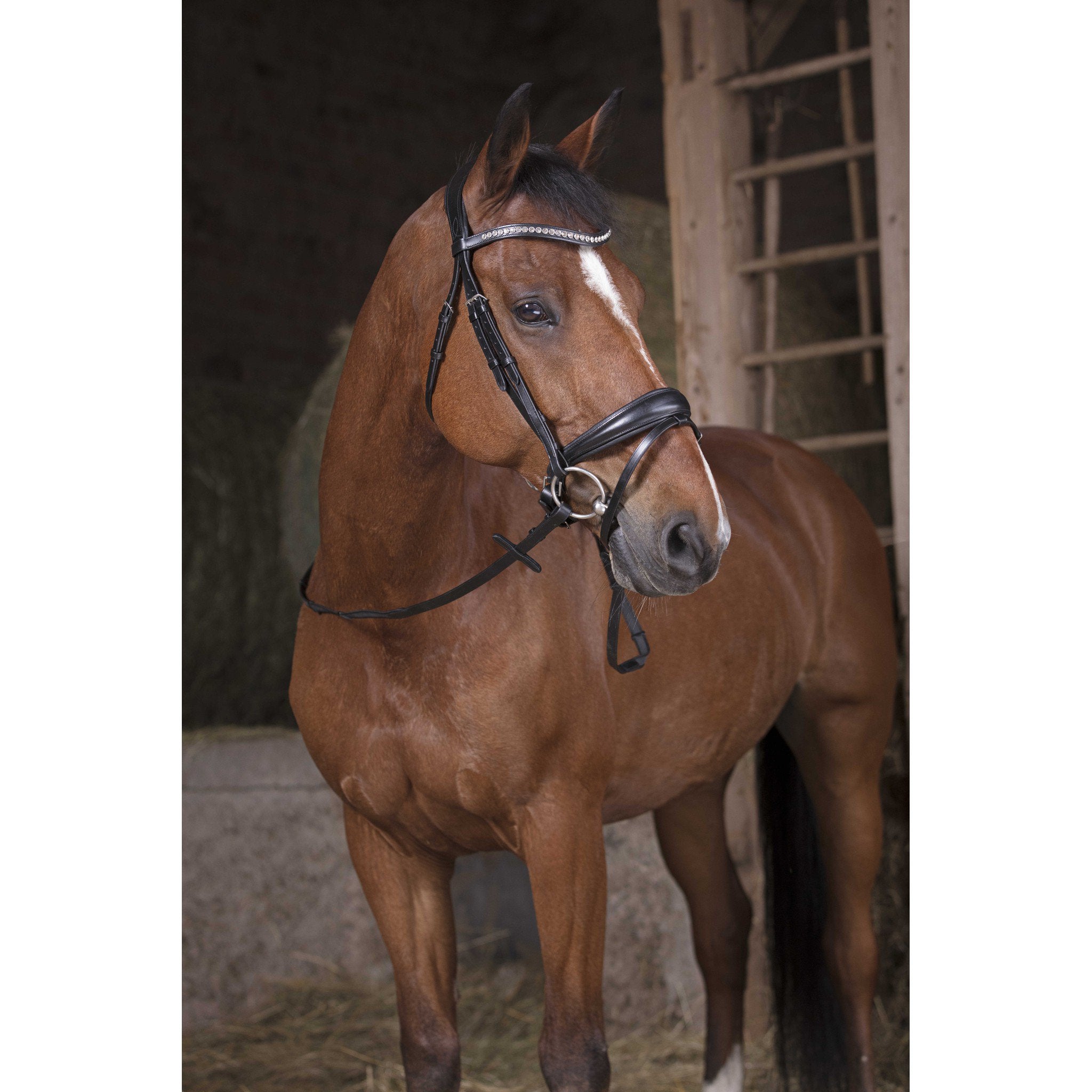 Norton Pro grip reins Black/black 305600202