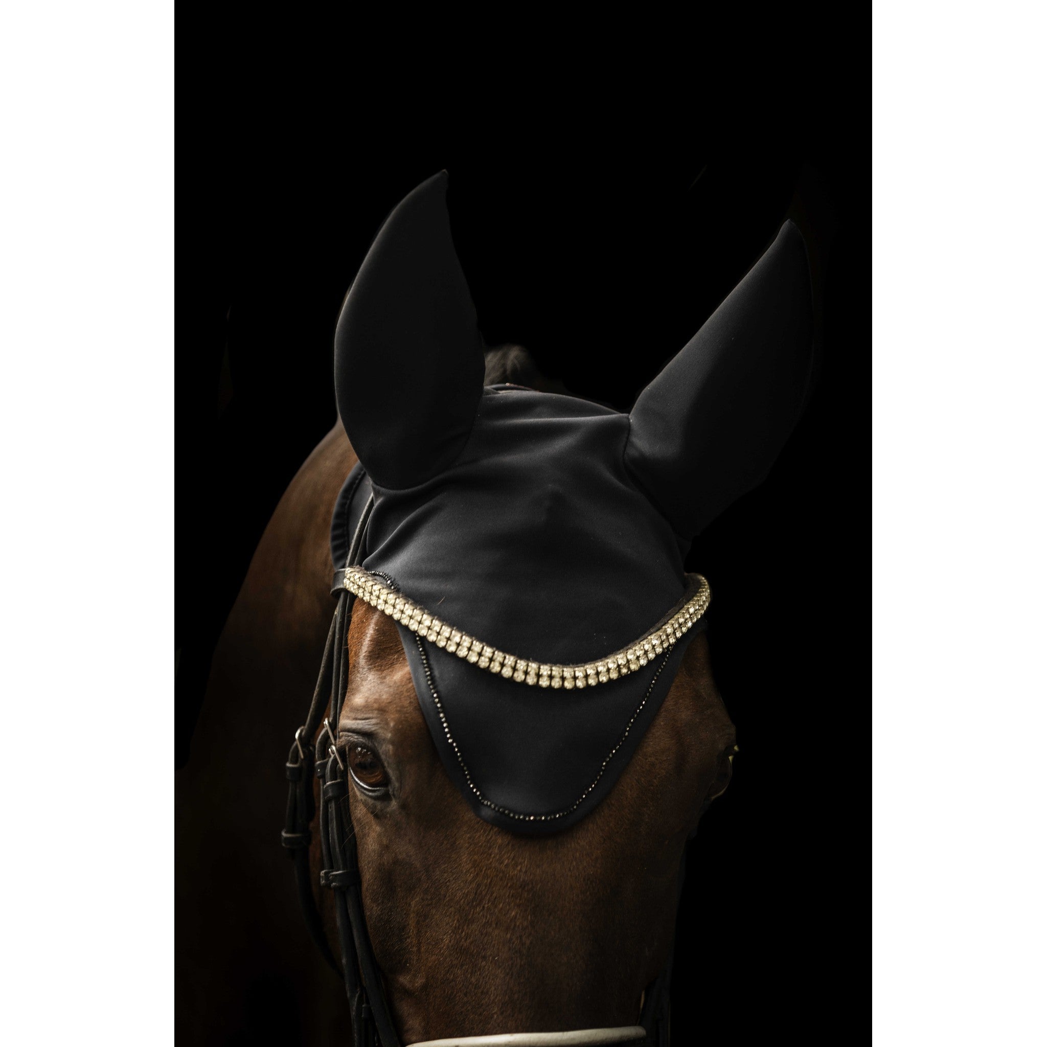 Lami-Cell Come Best Titanium Fly Veil Black 320036302