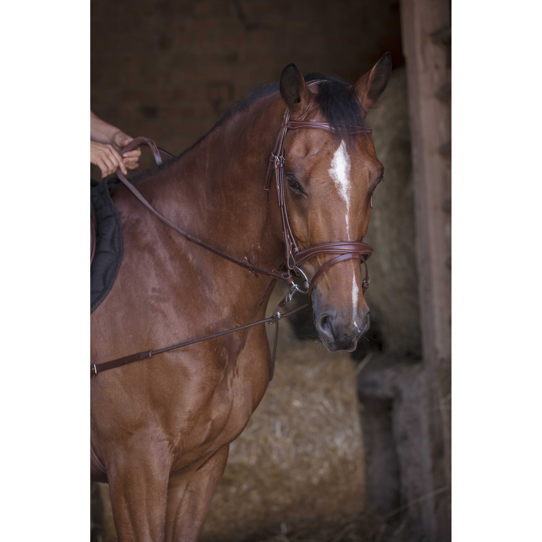 Norton Pro Short Elastic Side Reins with Pulleys Havana 306394018