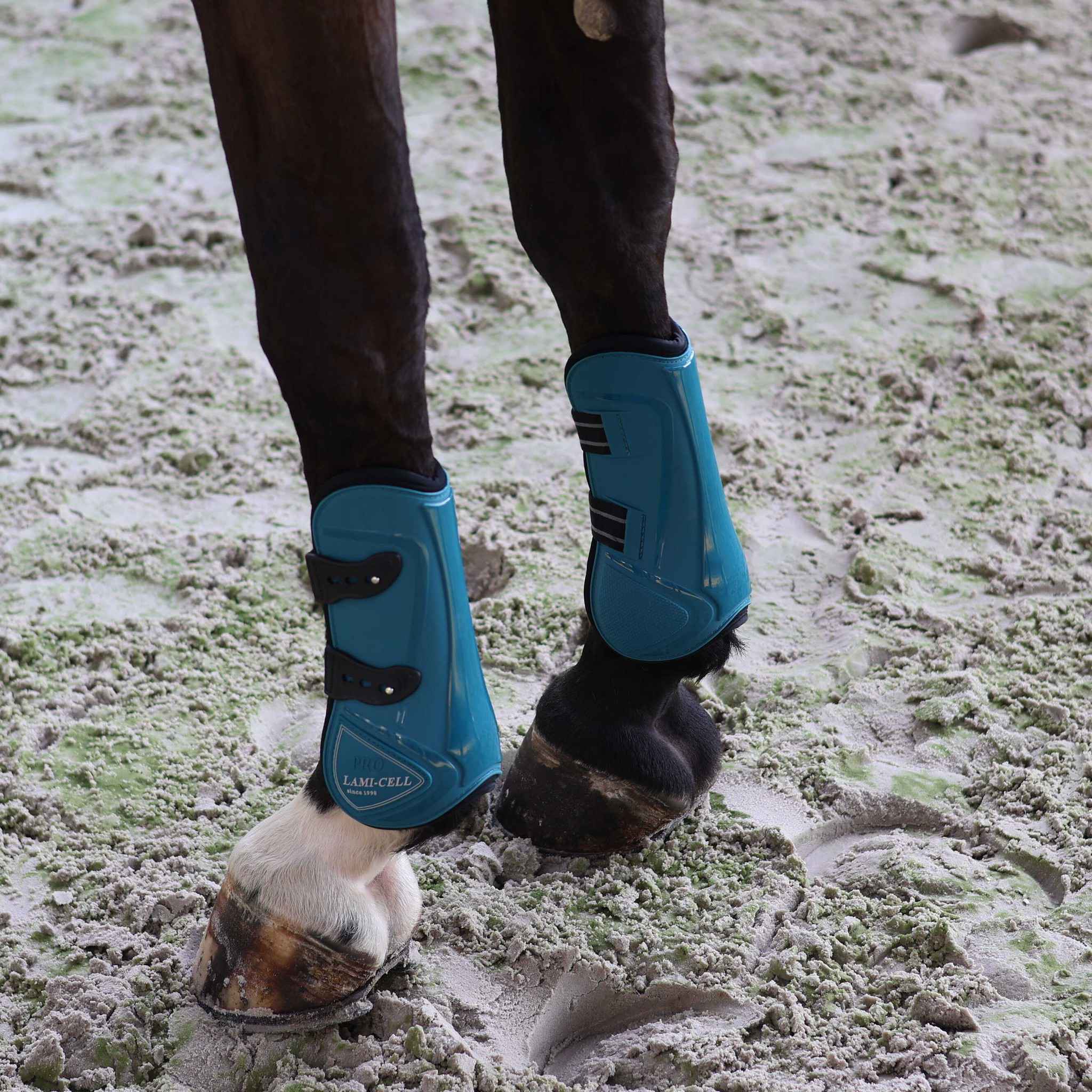 Lami-Cell Elite Fetlock and Tendon Boots Turquoise 550141317