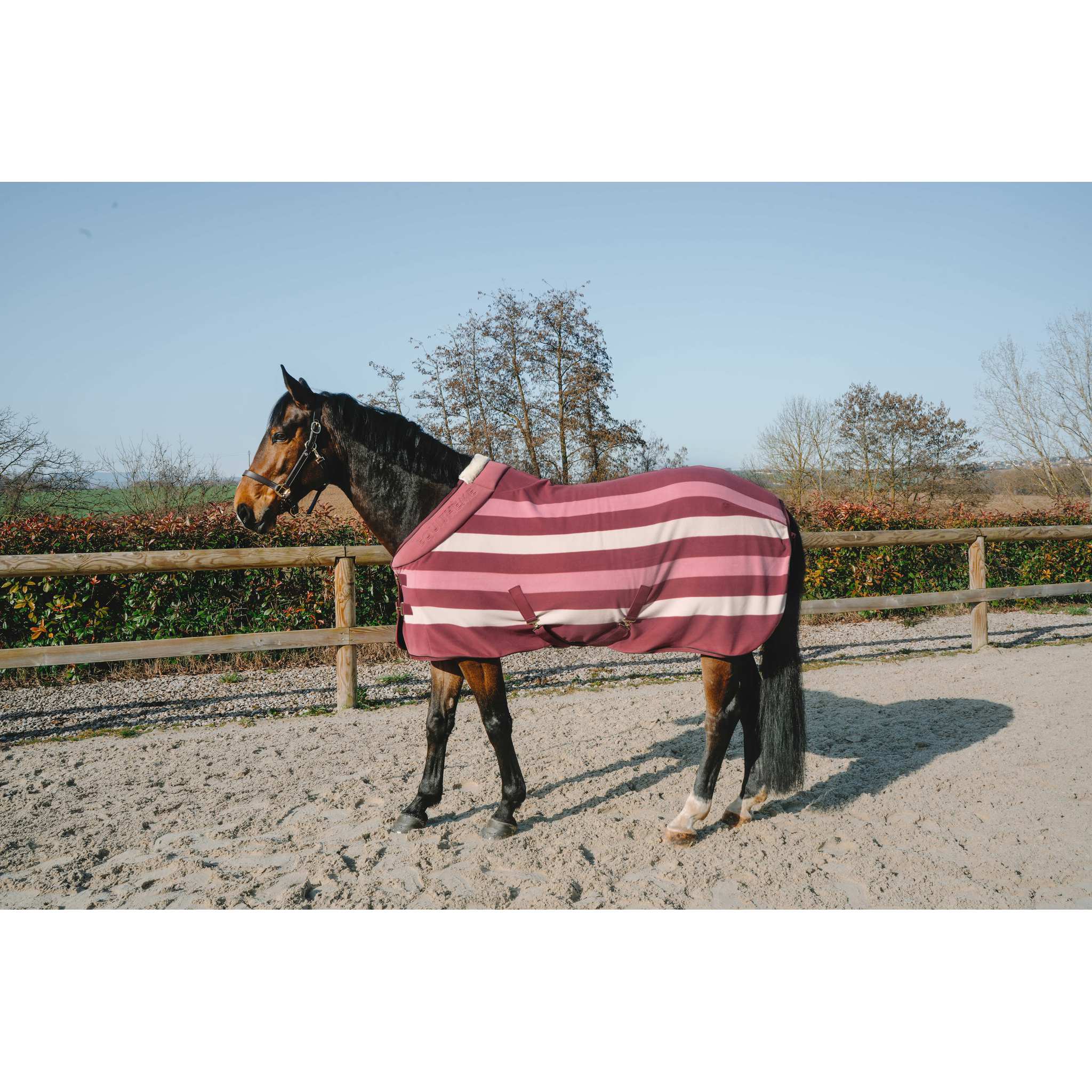 EQUITHÈME Confortech Fleece Sheet - Standard Pink - 400745163_ambi_1