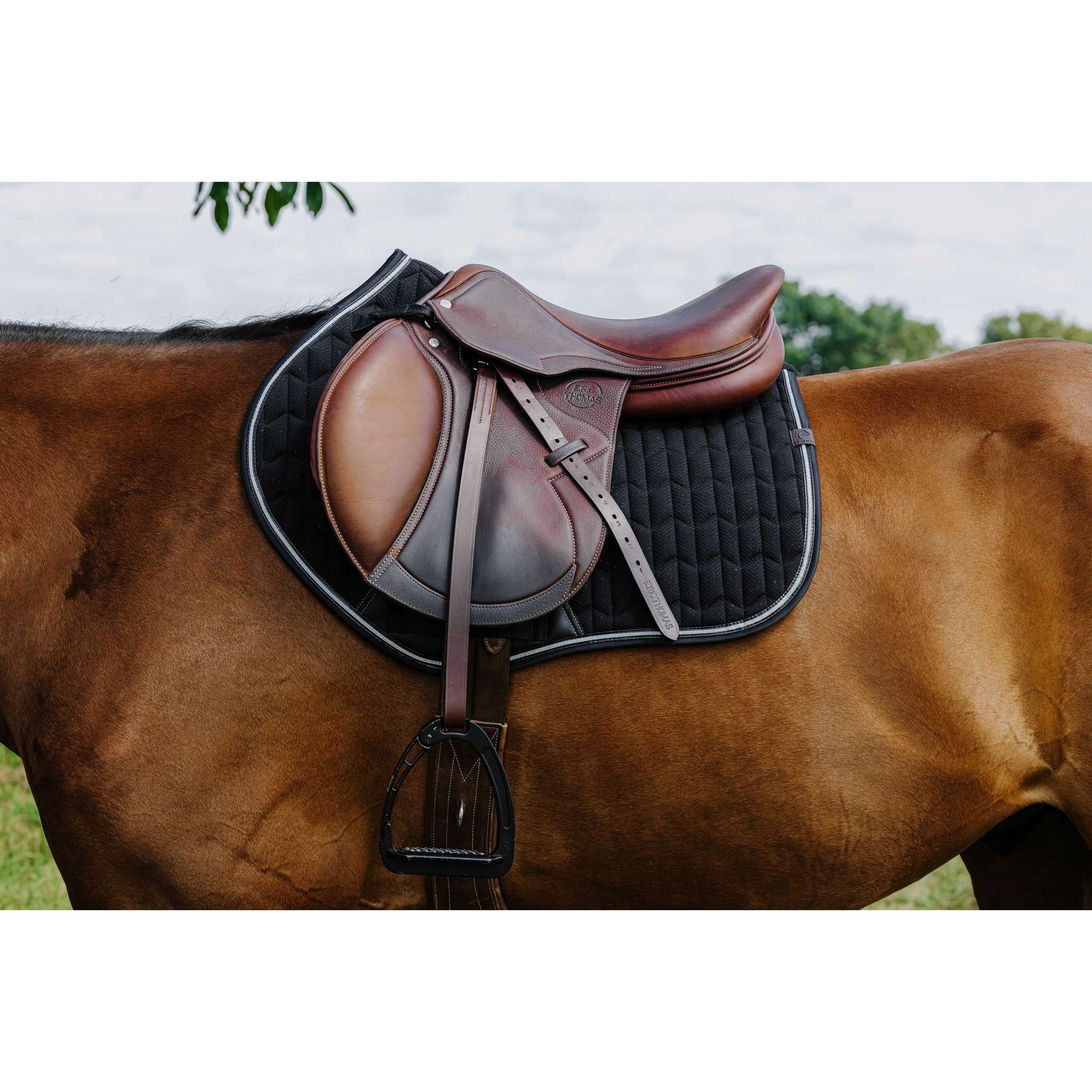 EQUITHÈME Éclat Saddle Pad - All purpose Black 204008002