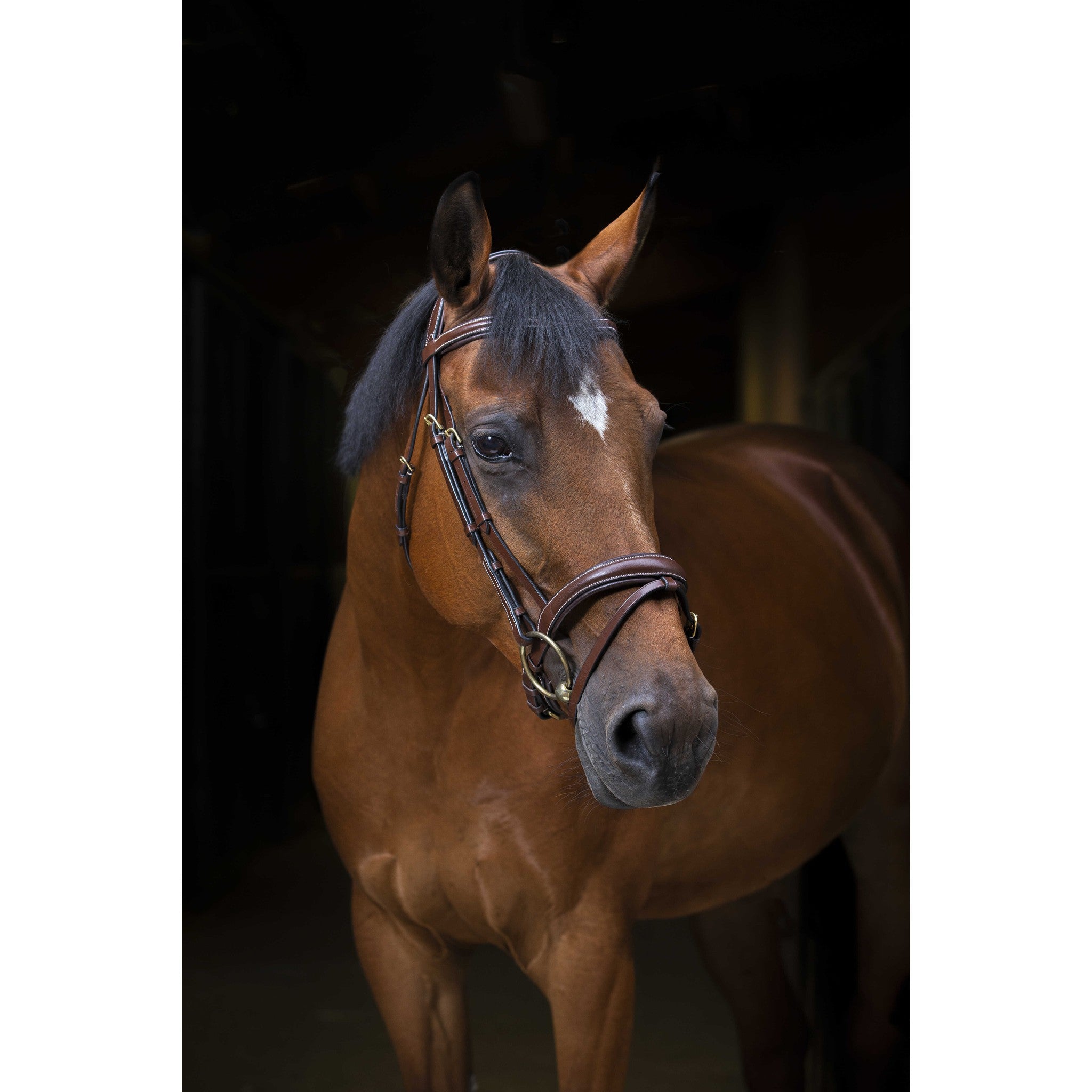 Éric Thomas Pro Wave Bridle Havana 307701318