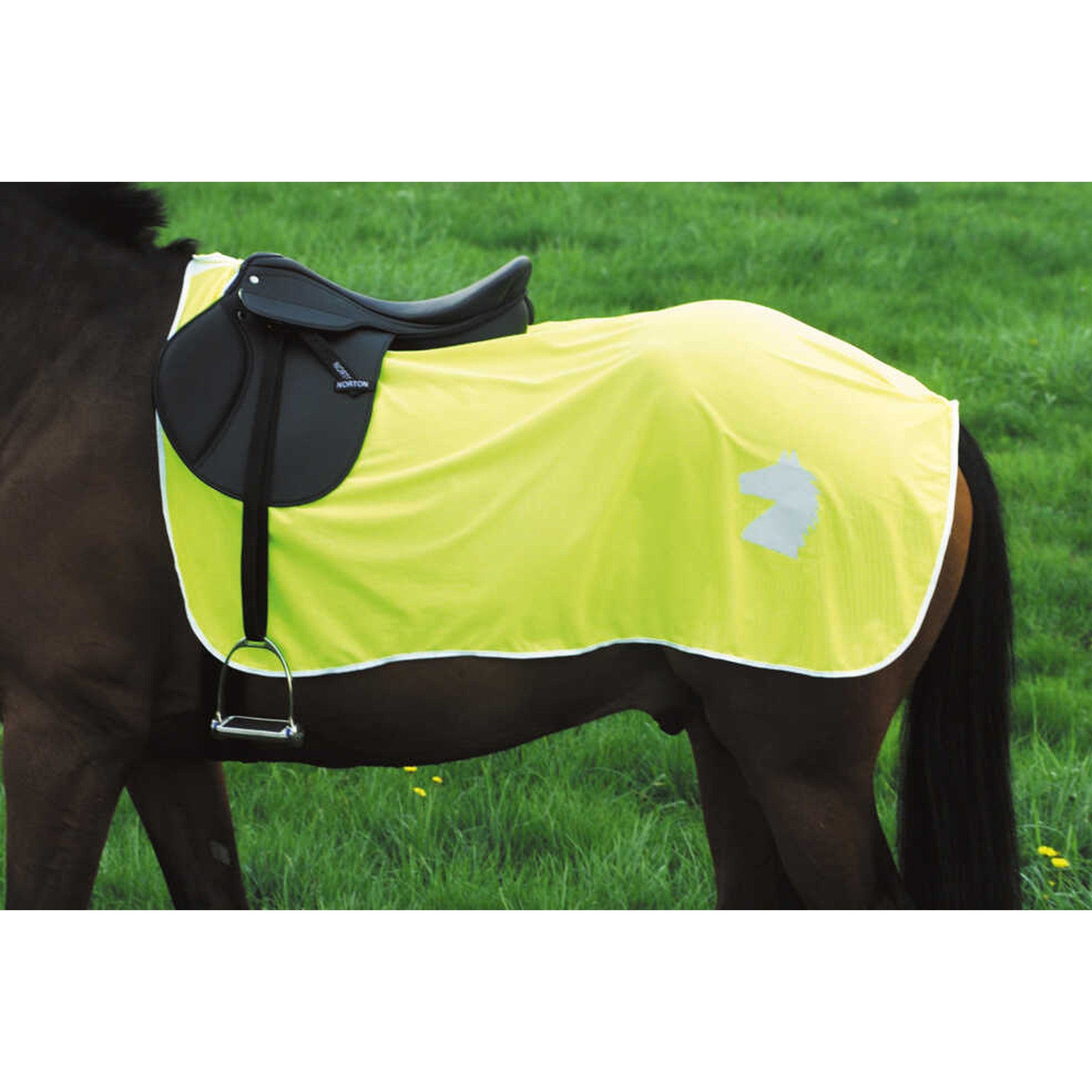 Norton Fluorescent exercise sheet Fluorescent yellow 930418
