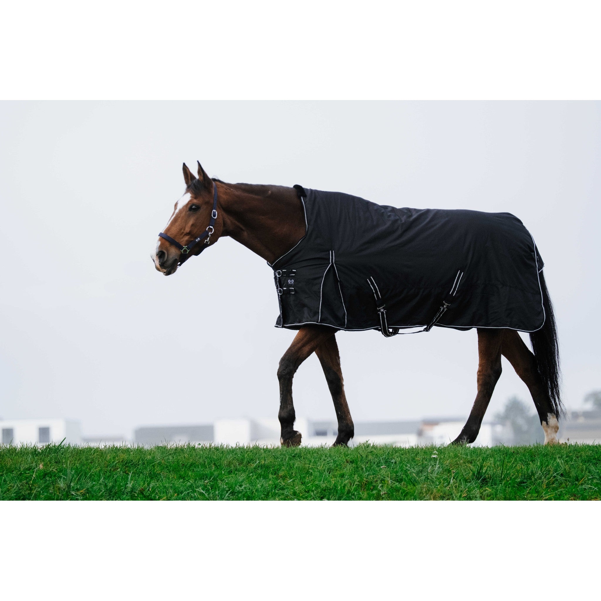 Riding World Oxford Waterproof Turnout Rug Black 400893263