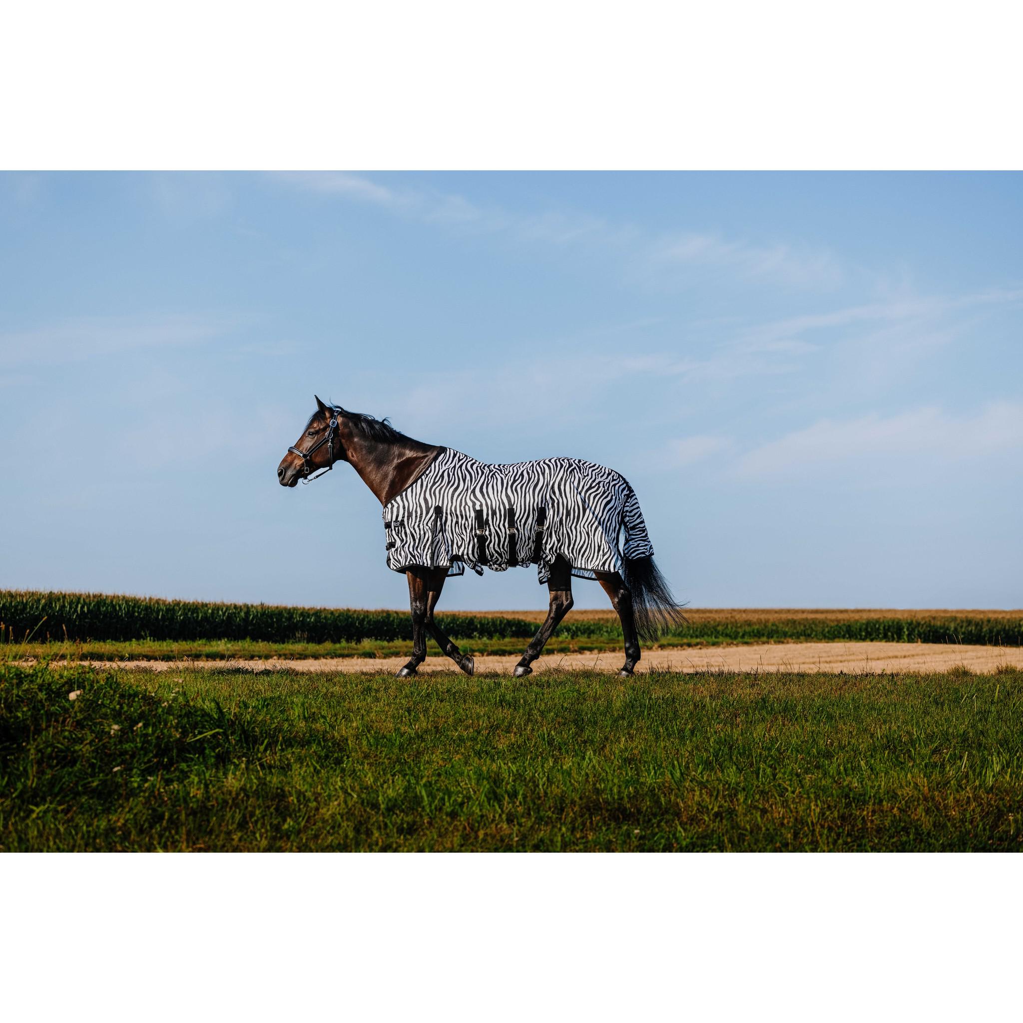 Riding World Belly Mesh Sheet - Standard Zebra 400725063