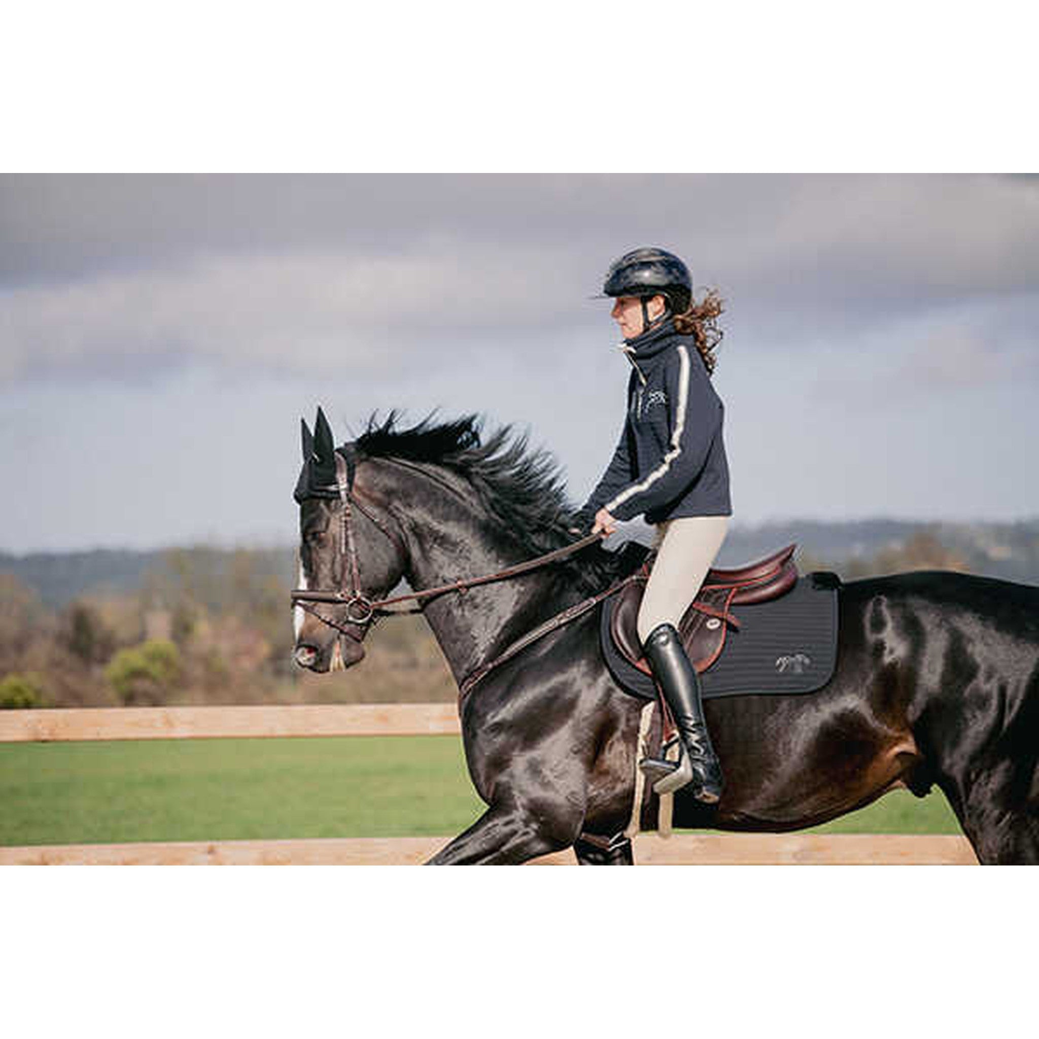Pénélope Lyona Saddle Pad - All purpose Black 204832002