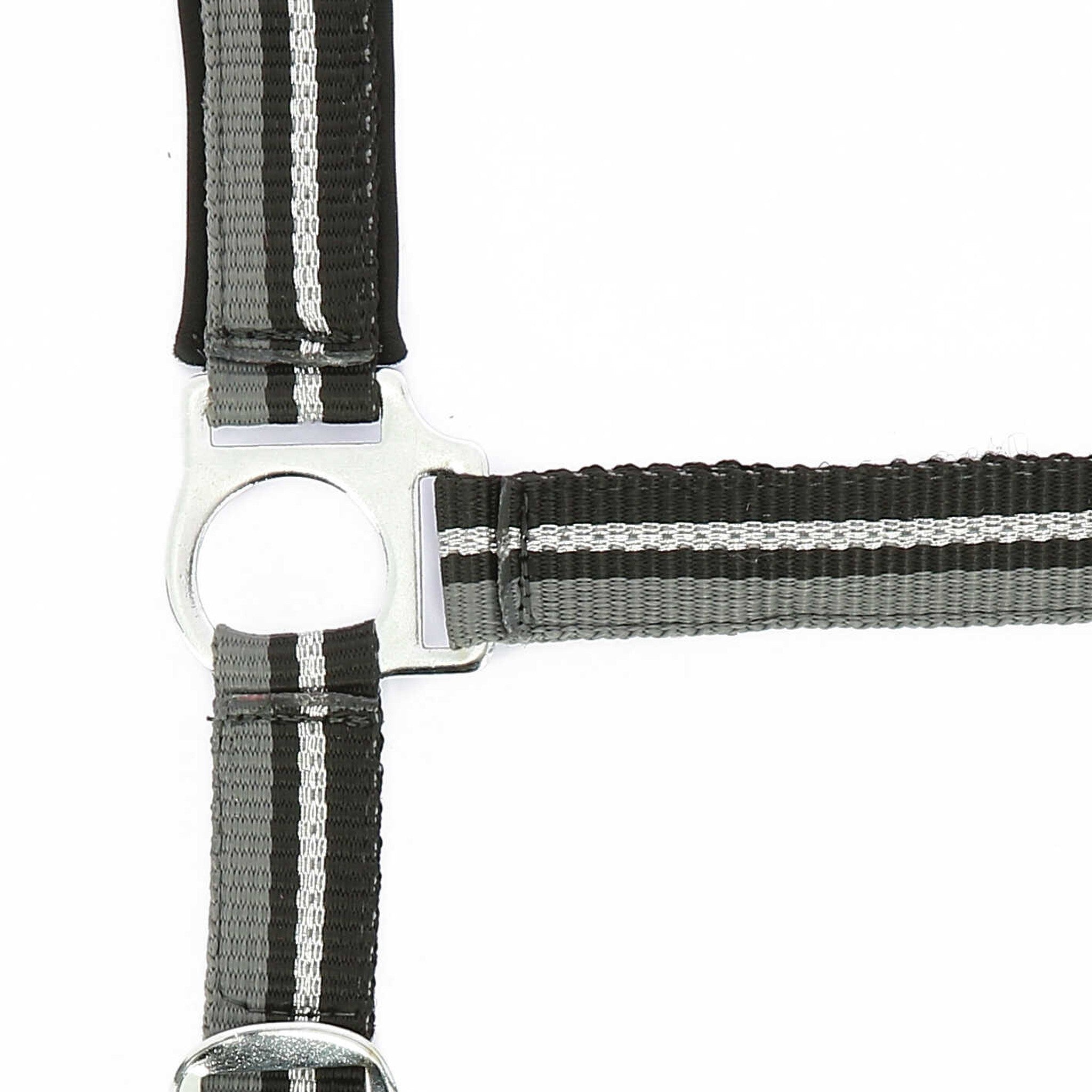 Norton Shining Halter + Lead Rope Black/grey 510609002