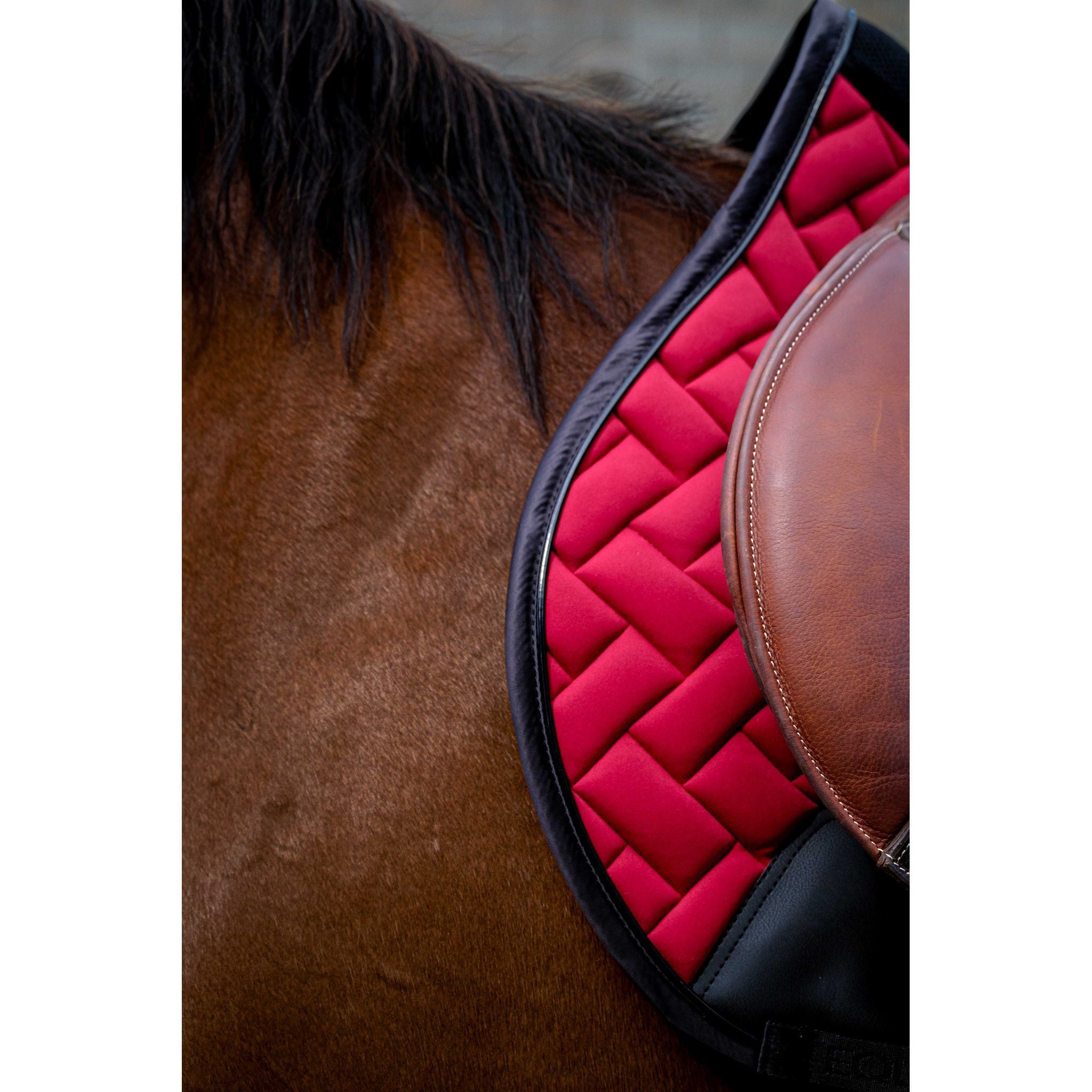 EQUITHÈME Impulsion Saddle Pad - All purpose Burgundy 204006033
