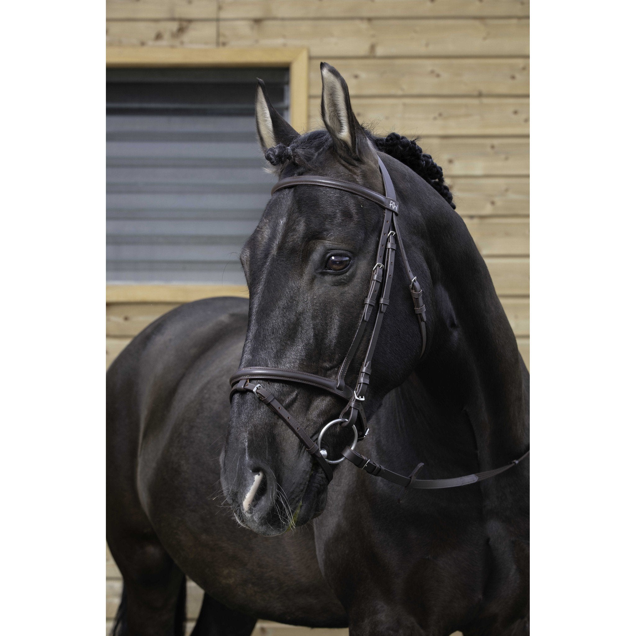 Bridle Riding World combined Havana 301004318
