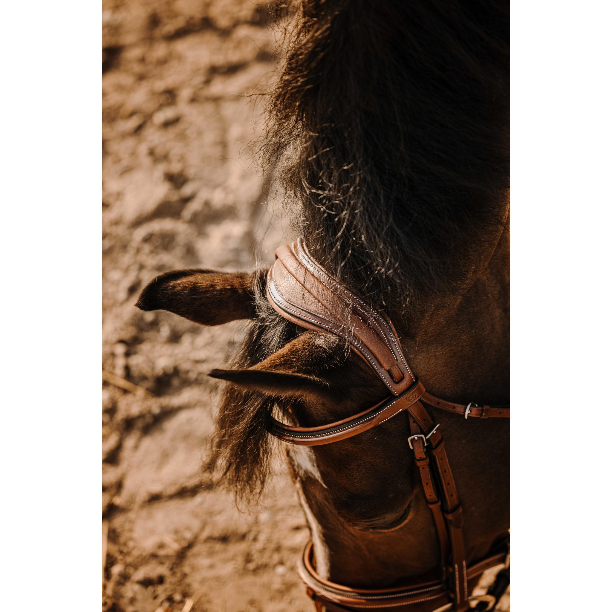 Éric Thomas Crown Bridle Havana 301908318