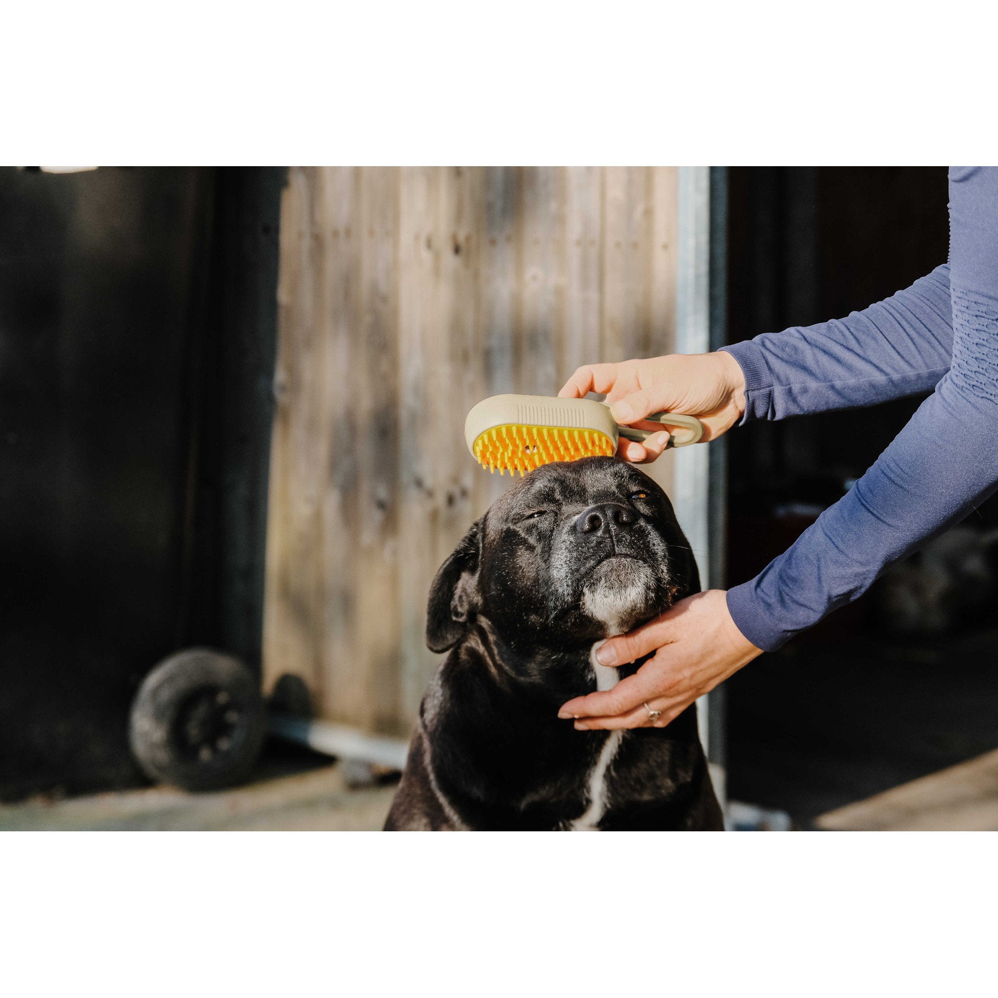 Hippo-Tonic Steam Curry Comb with Handle Taupe 700067027