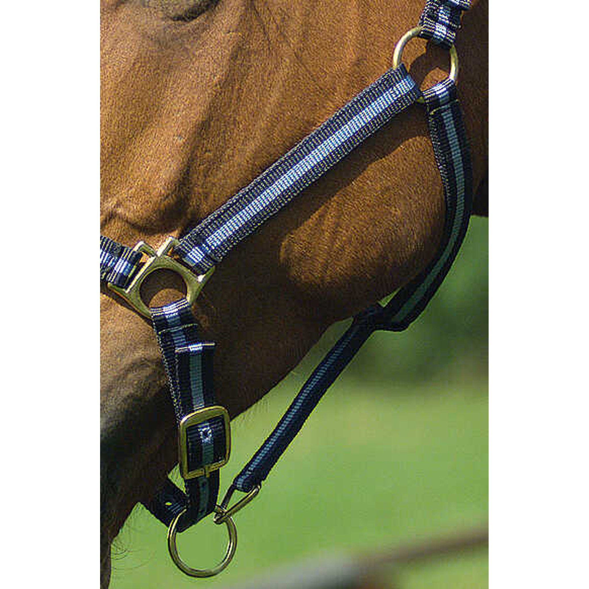 Norton Leather lined nylon headcollar Navy/light blue 510190712