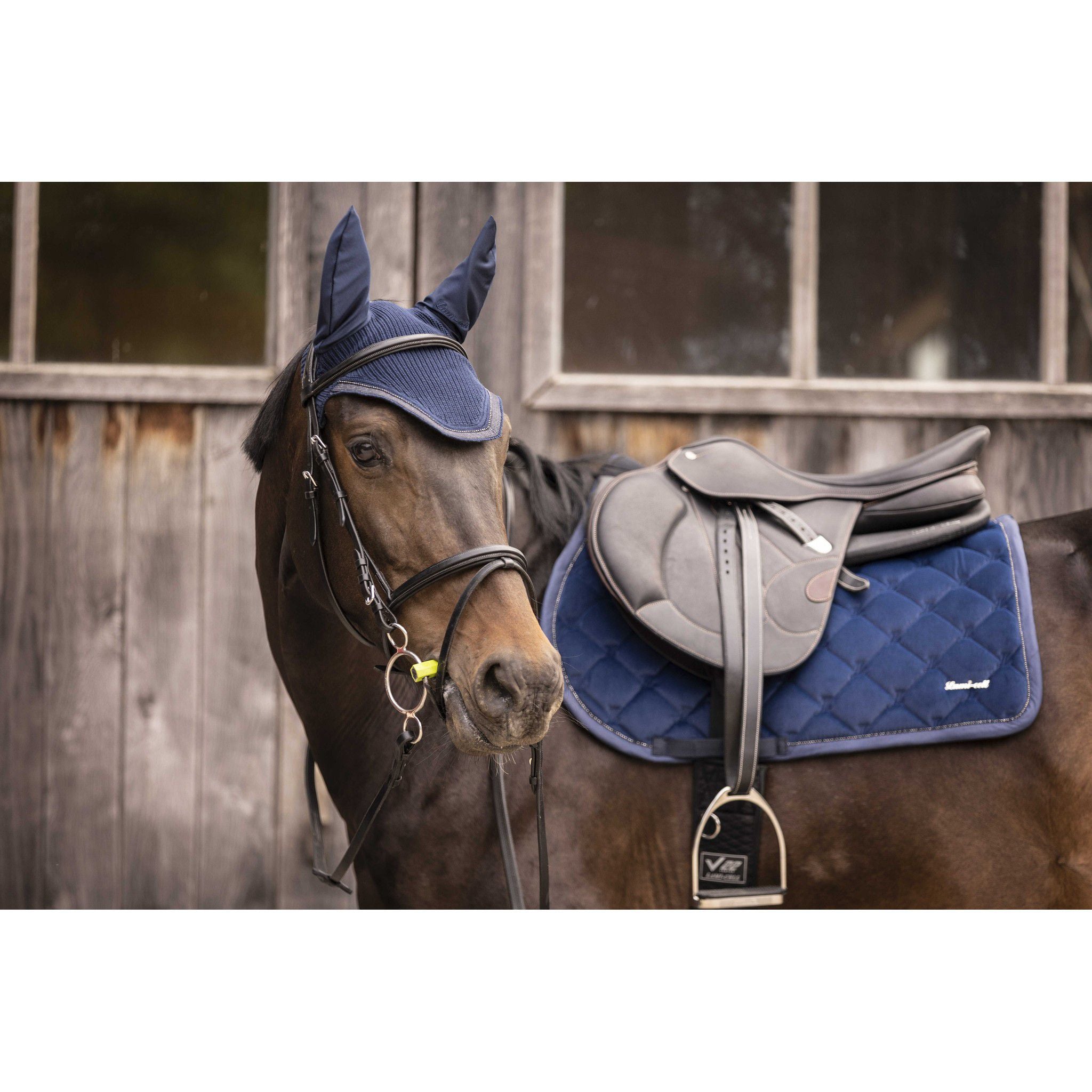 Lami-Cell Galaxy Velvet Saddle Pad - All purpose Navy blue 220033307