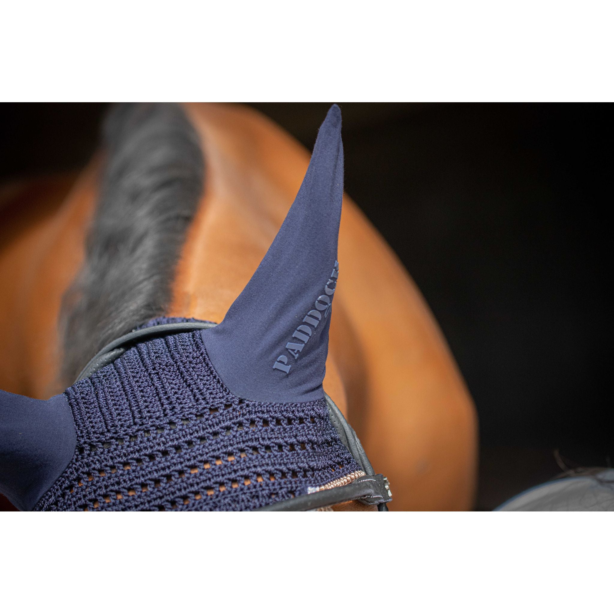 Paddock Sports Origine Fly Veil Navy blue - 306988007_ambi_1