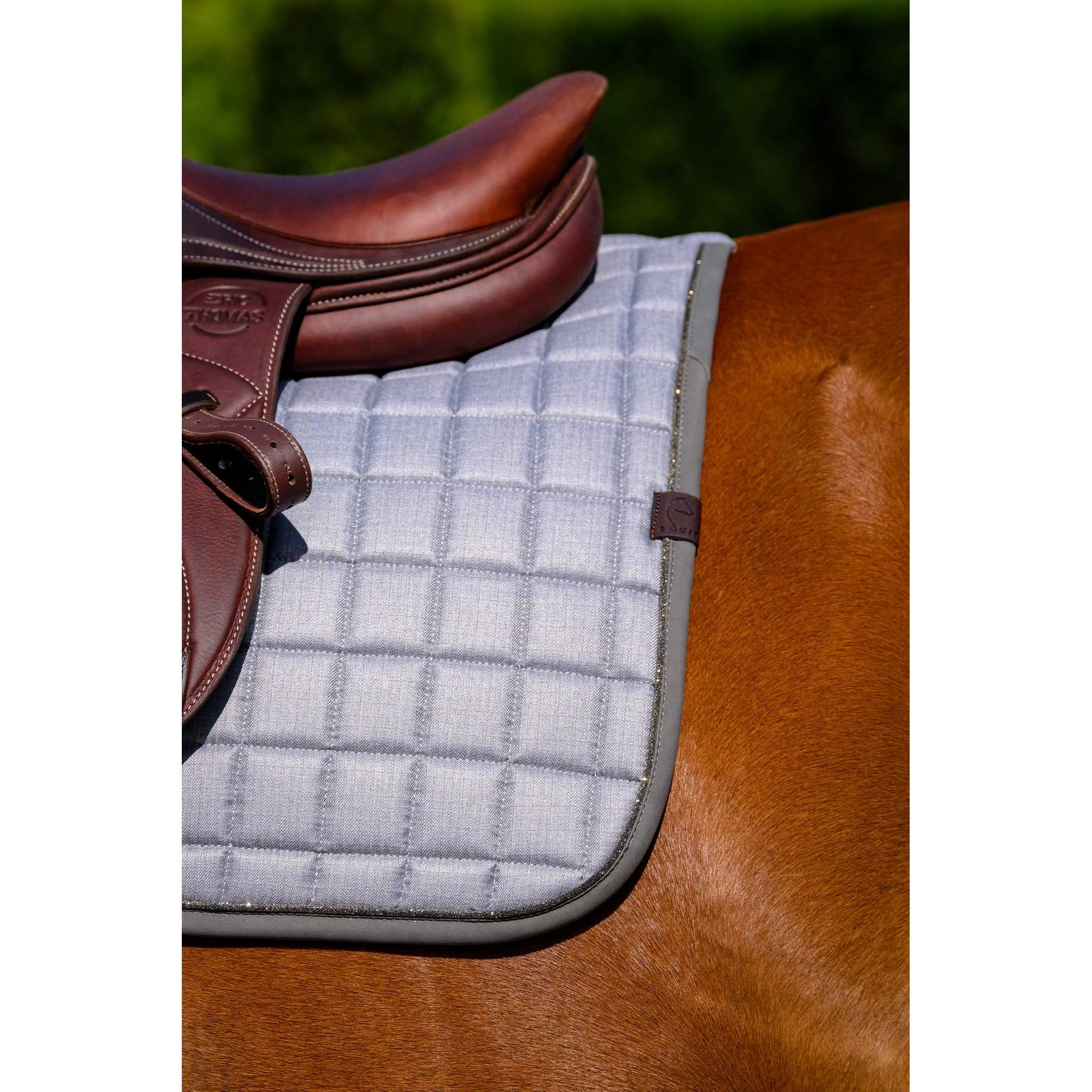 EQUITHÈME Chic saddle pad - All purpose Grey 204001011