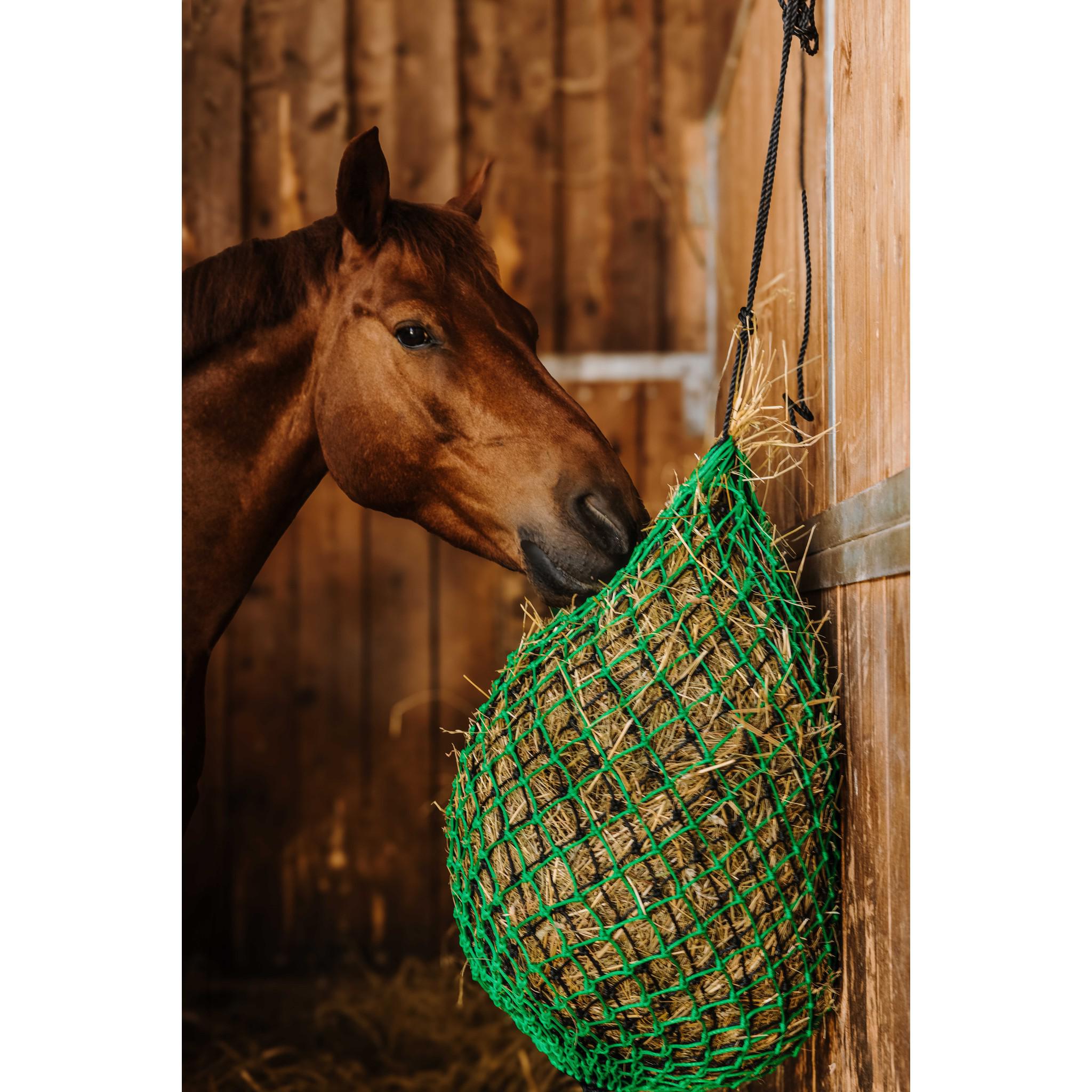 Hippo-Tonic Double Hay Net Green/black 306848902