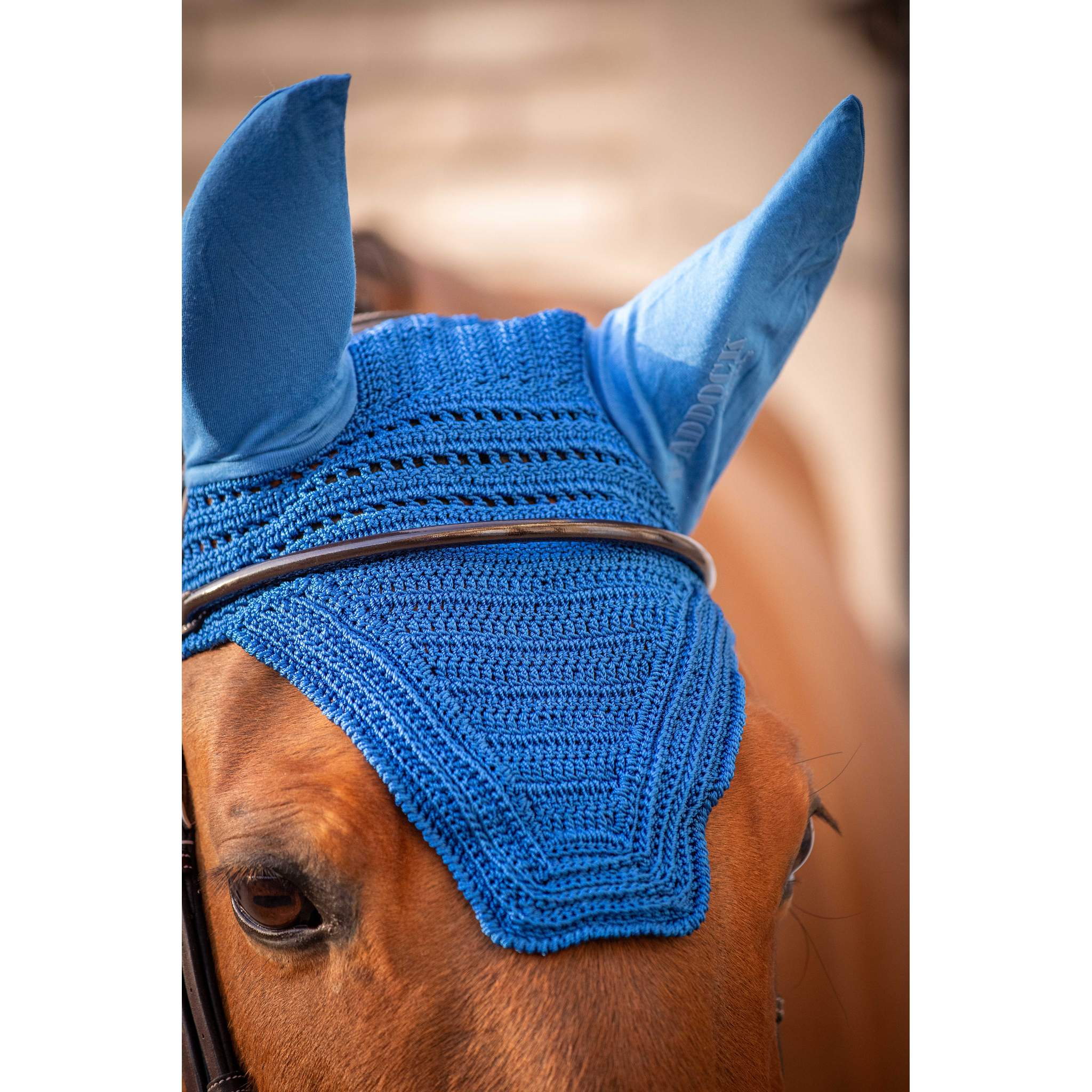 Paddock Sports Prem's Fly Veil Royal blue - 306969206_ambi_2