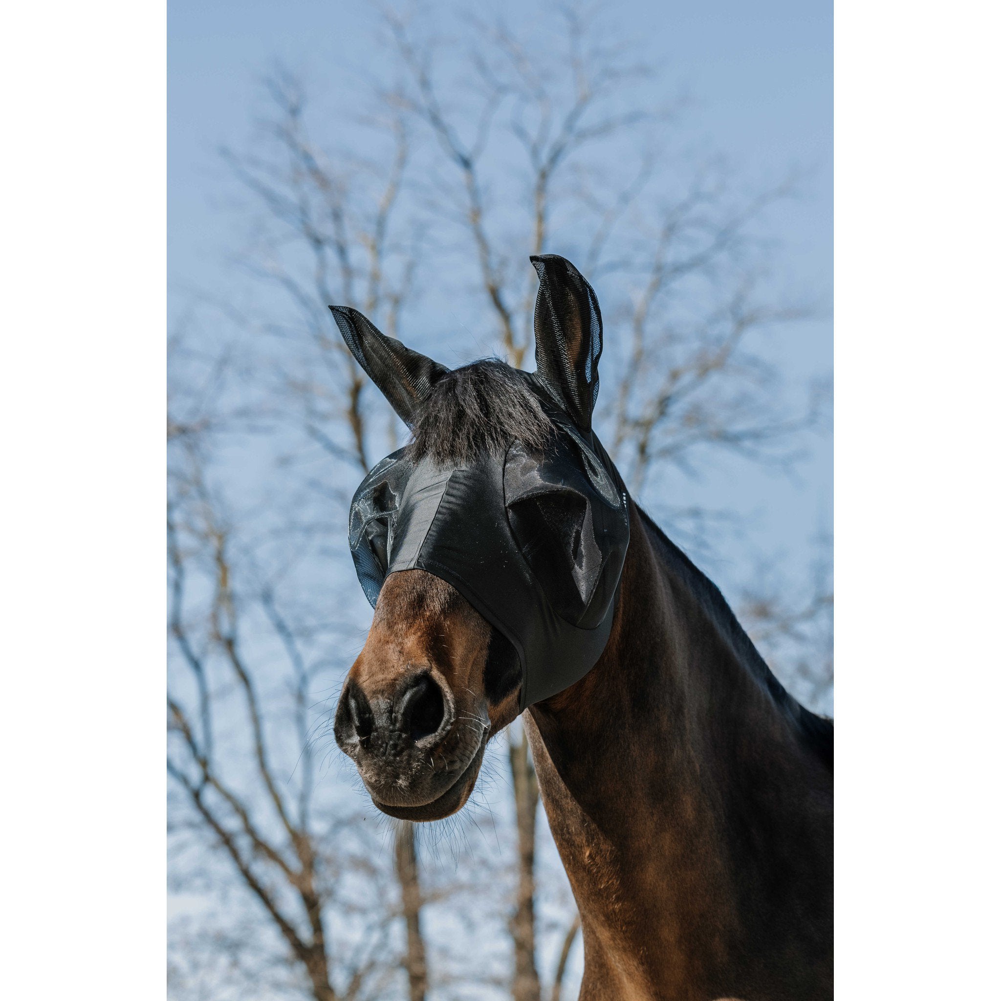 EQUITHÈME Lycra Anti UV Fly Mask Black 306041203