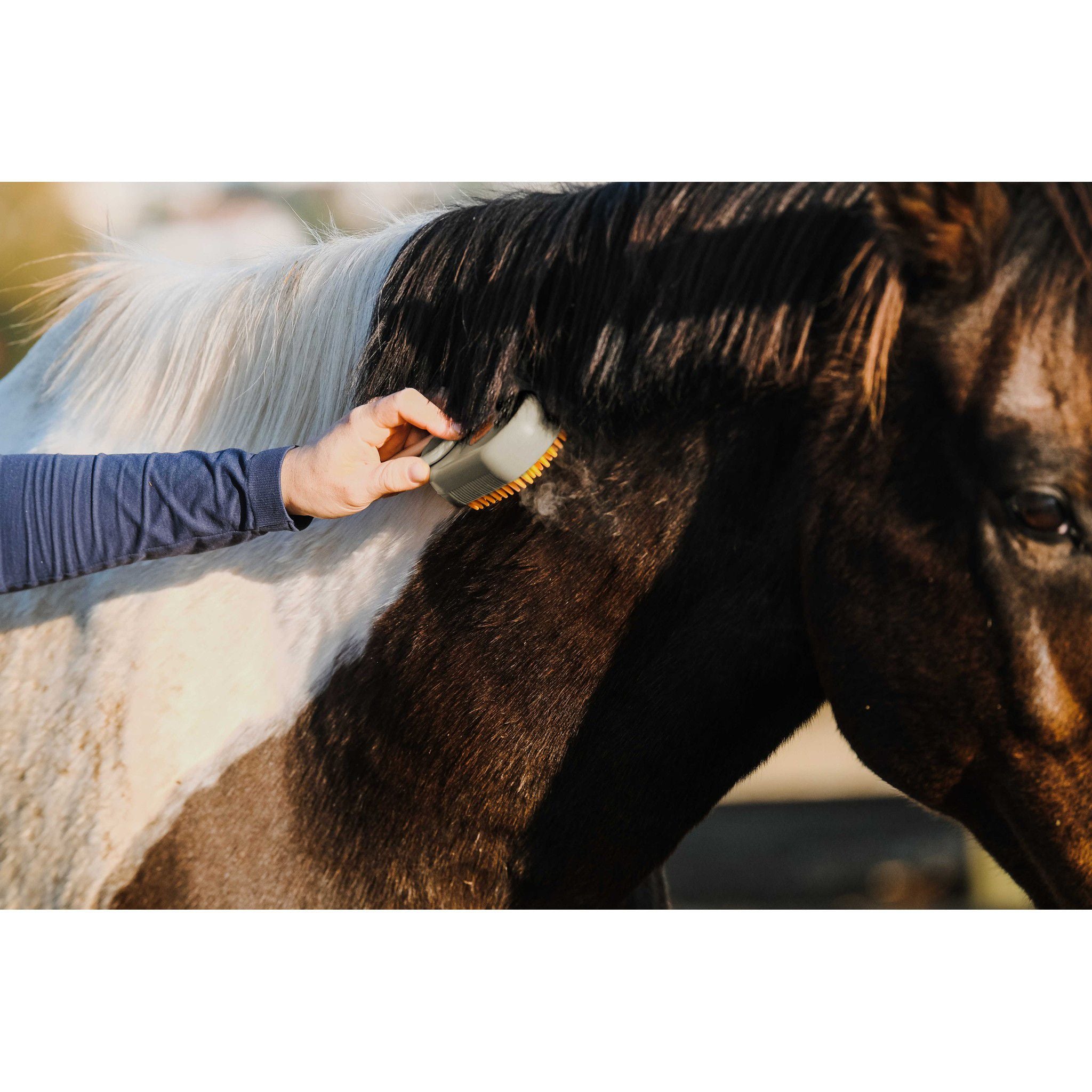 Hippo-Tonic Steam Curry Comb with Handle Taupe 700067027