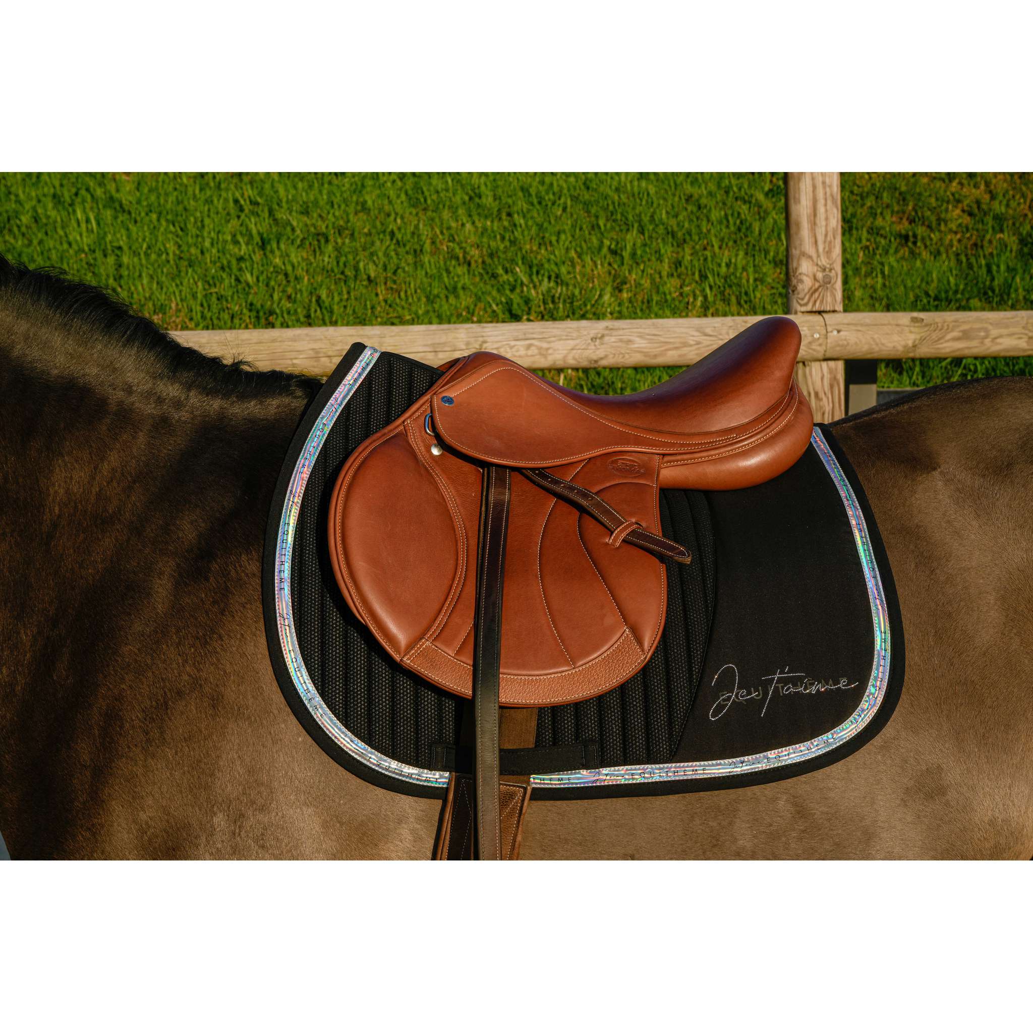 EQUITHÈME Talent All-Purpose Saddle Pad Black - 204511002_ambi_1