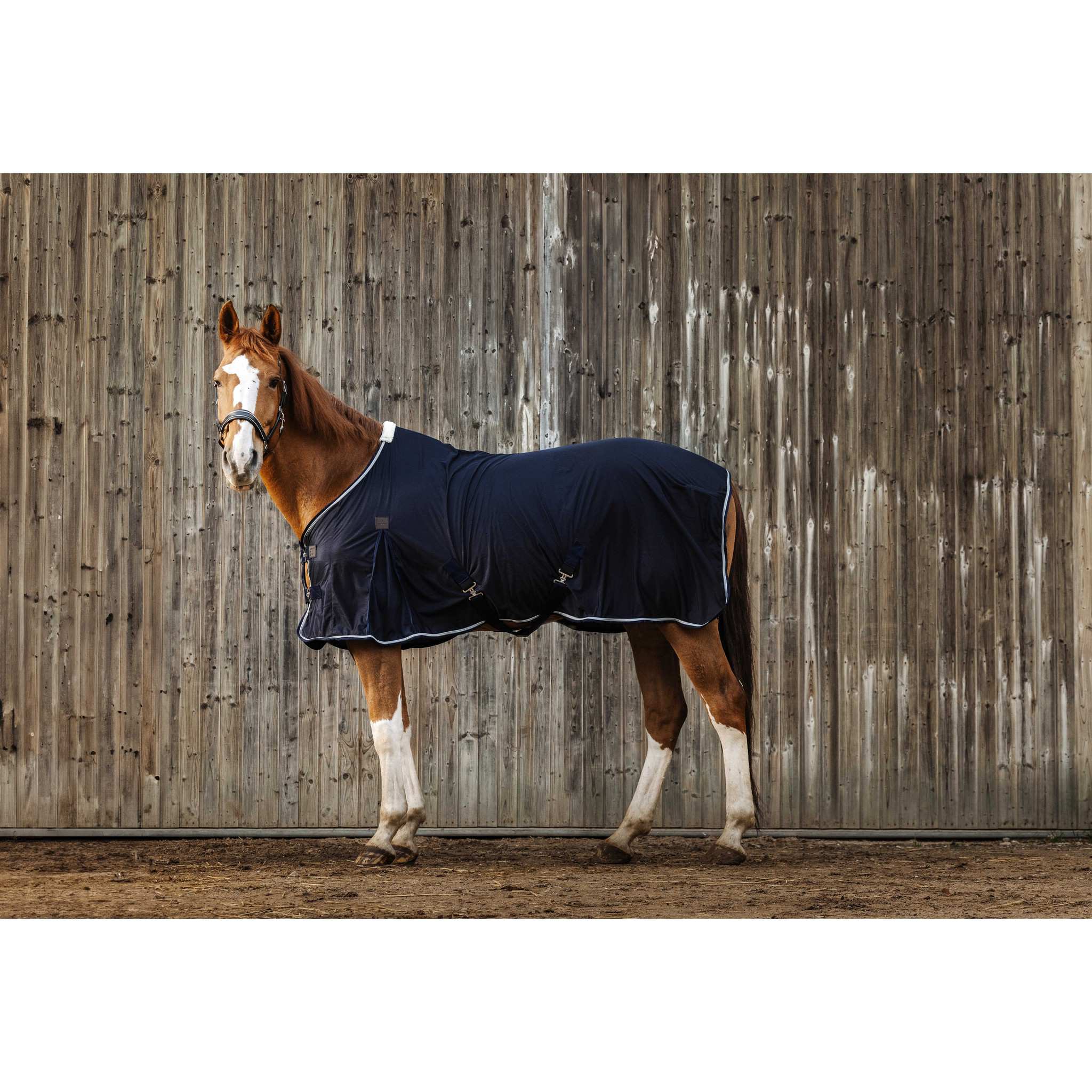 EQUITHÈME Micro Mesh Sheet - Standard Navy blue 400354063