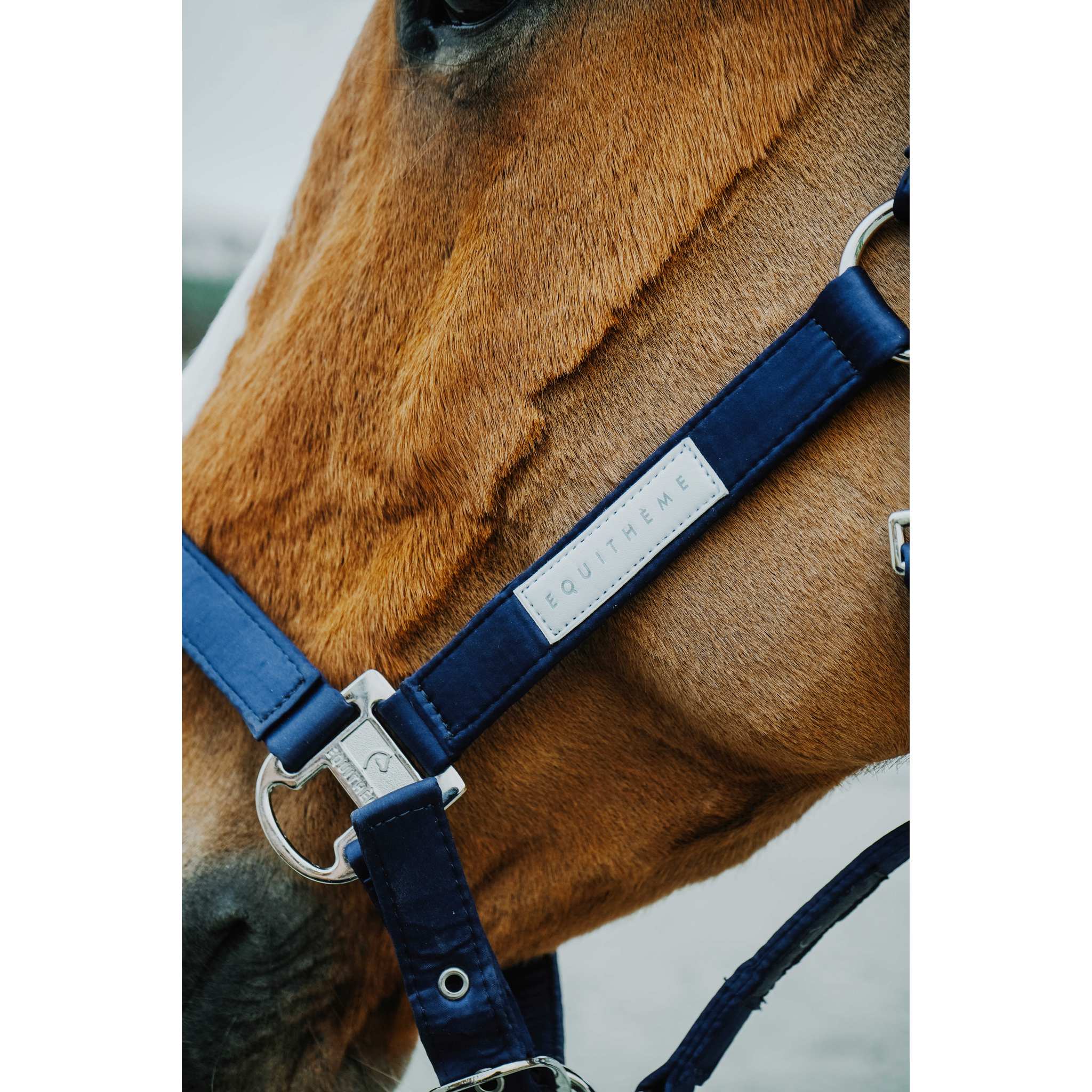 EQUITHEME Opal Halter Navy blue - 510276307_ambi_3