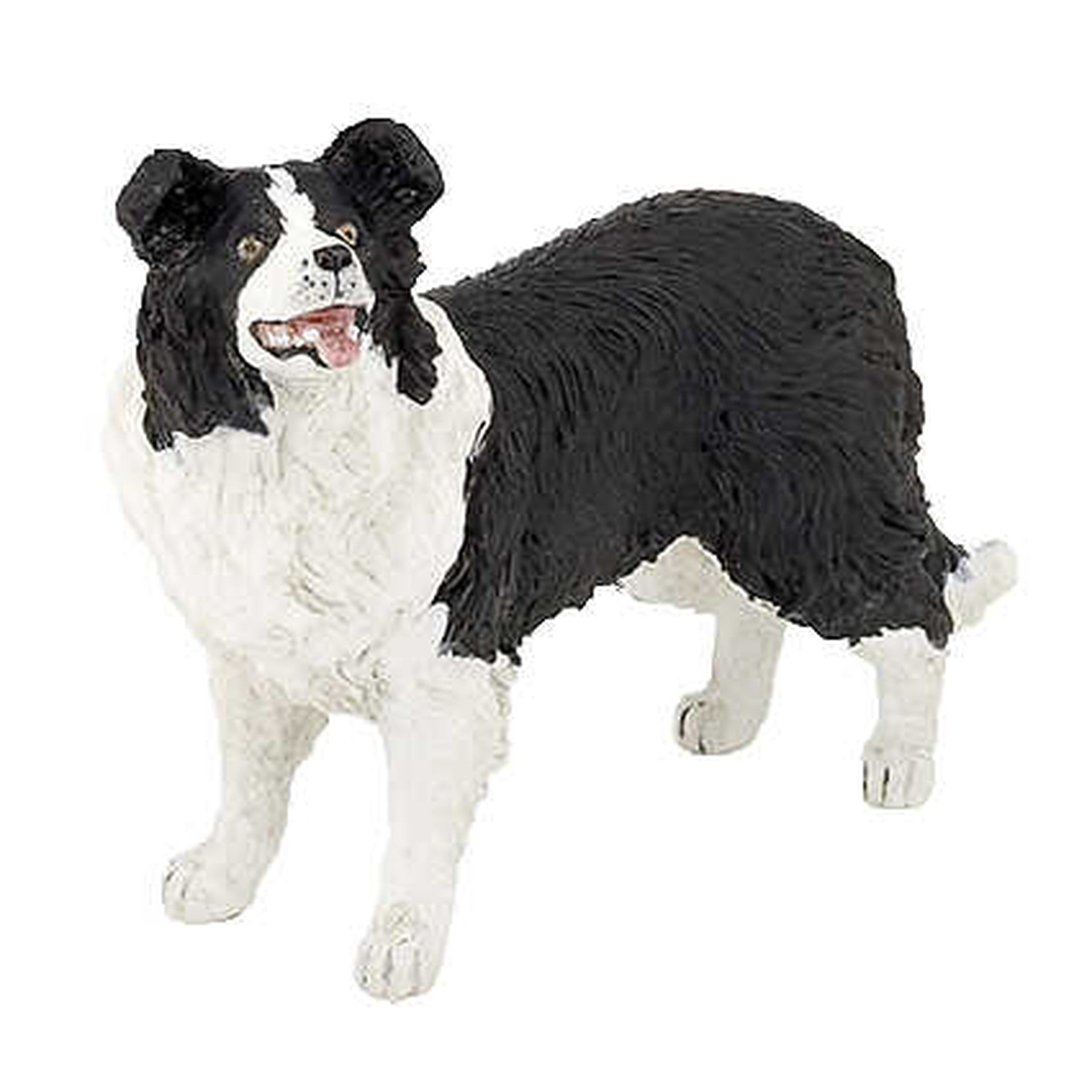 PAPO Border Collie - 905054008_packshot_1