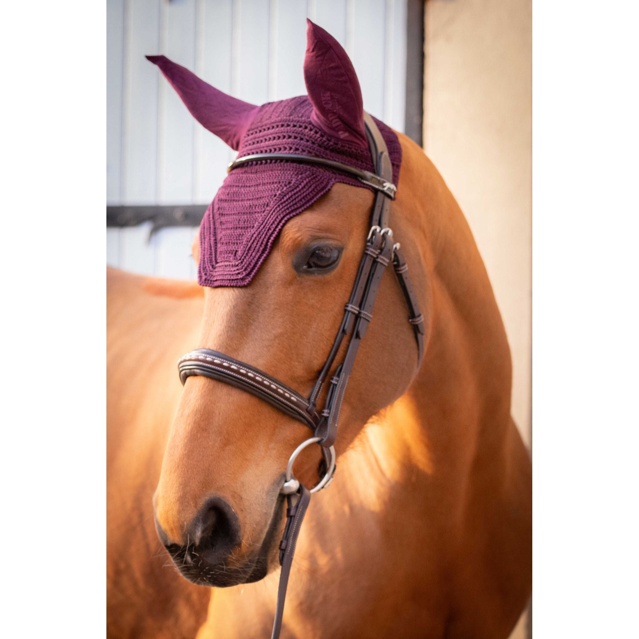 Paddock Sports Prem's Fly Veil Plum - 306969334_ambi_4