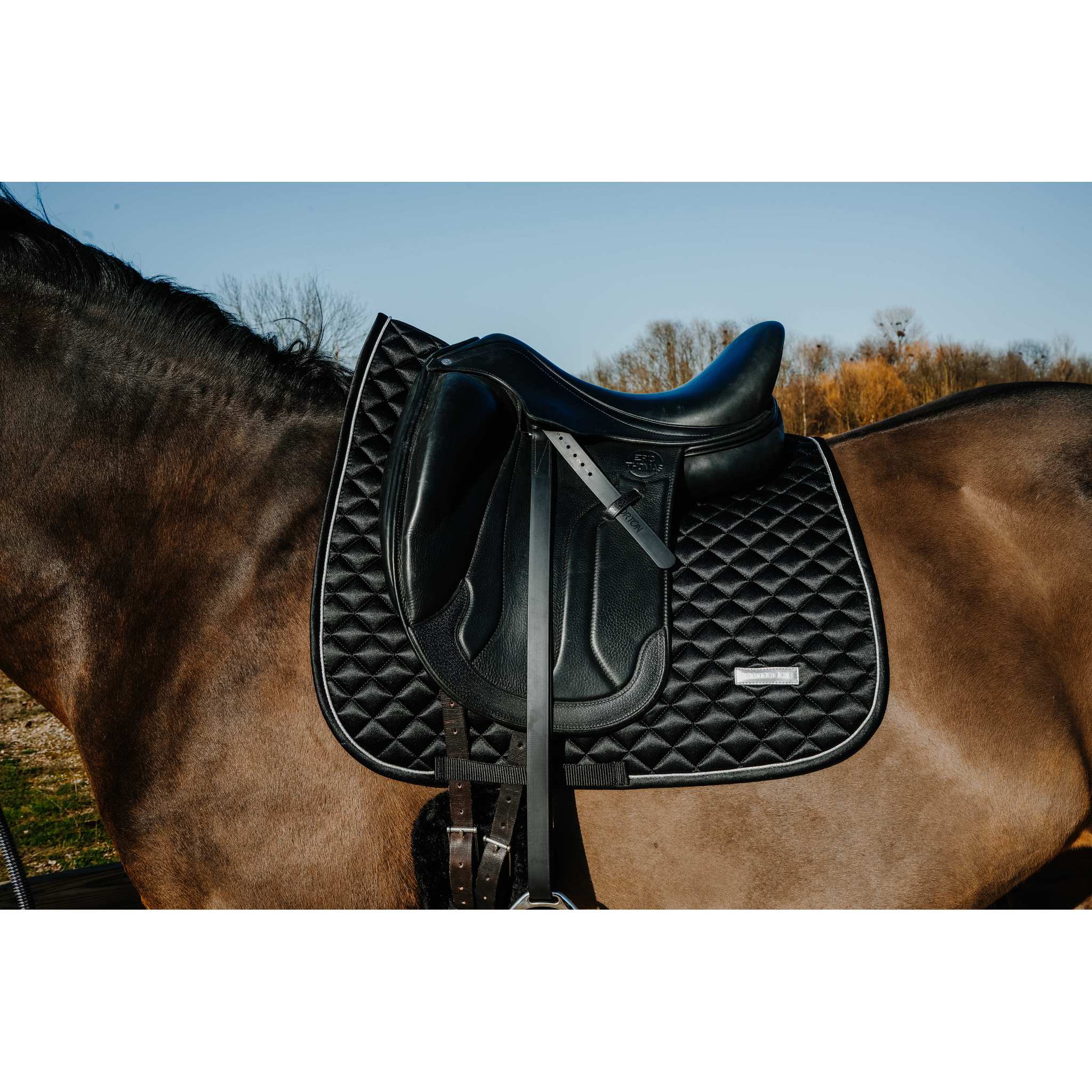 EQUITHÈME Nacre Dressage Saddle Pad Black - 204030002_ambi_1