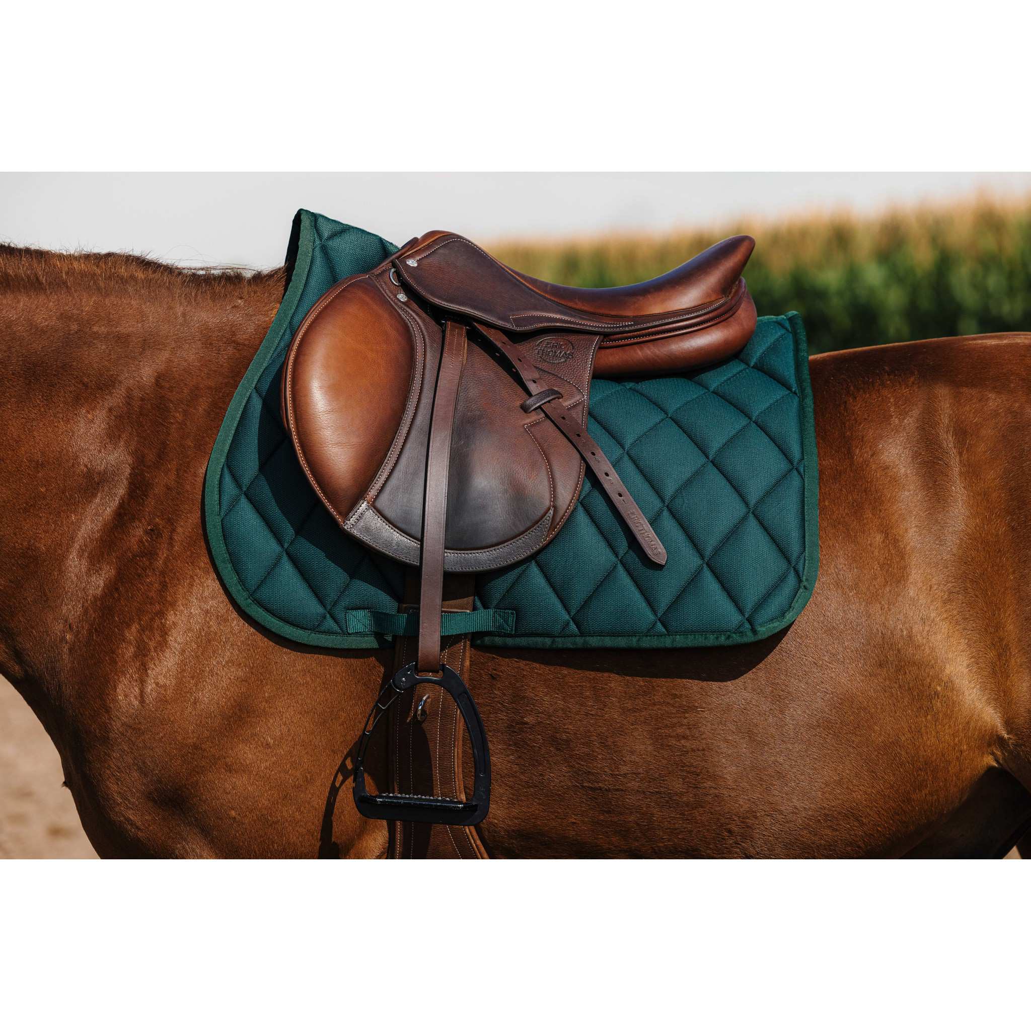 Riding World School Saddle Pad - All purpose Dark green 204057009