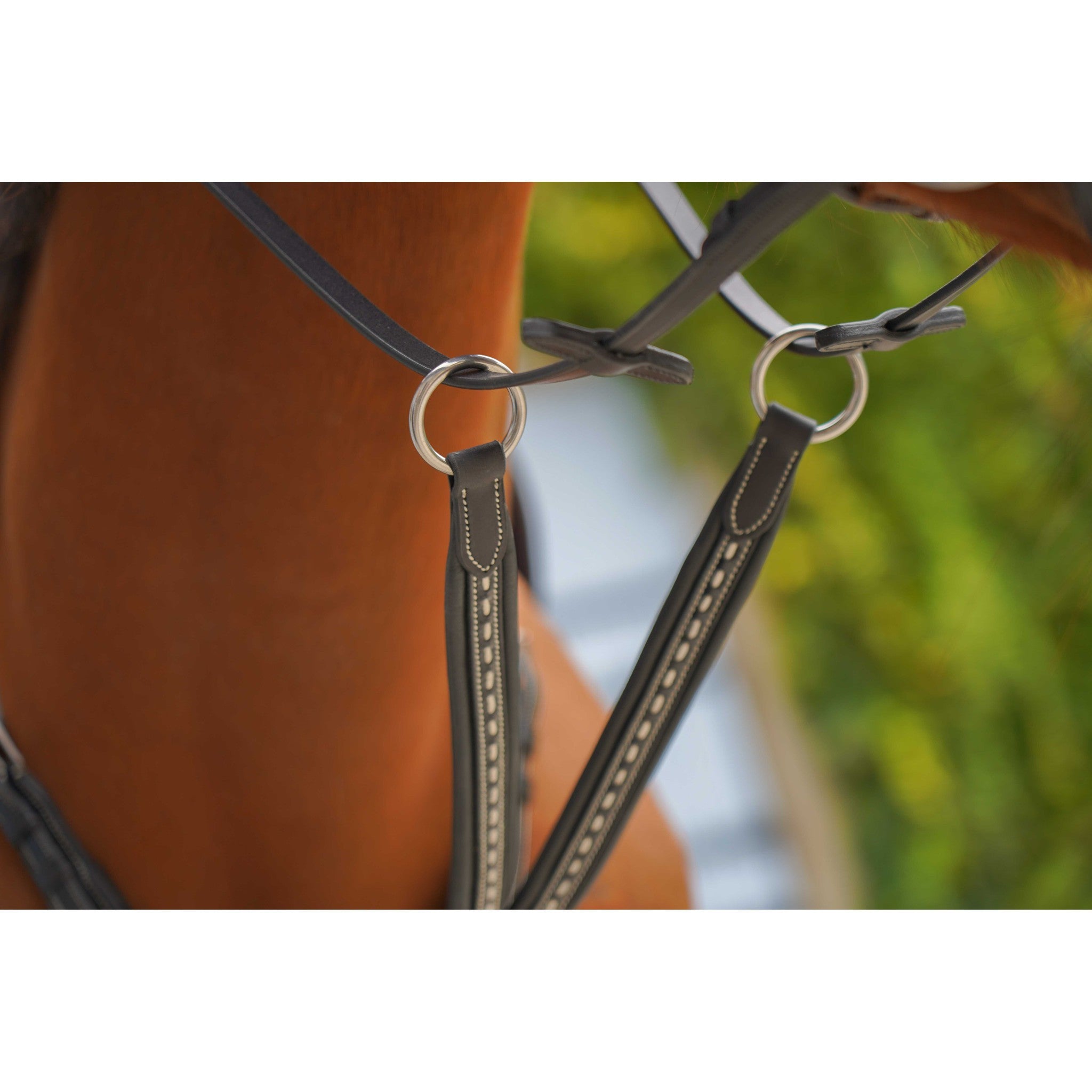 Pénélope Point Sellier Martingale Attachment Black 306153002