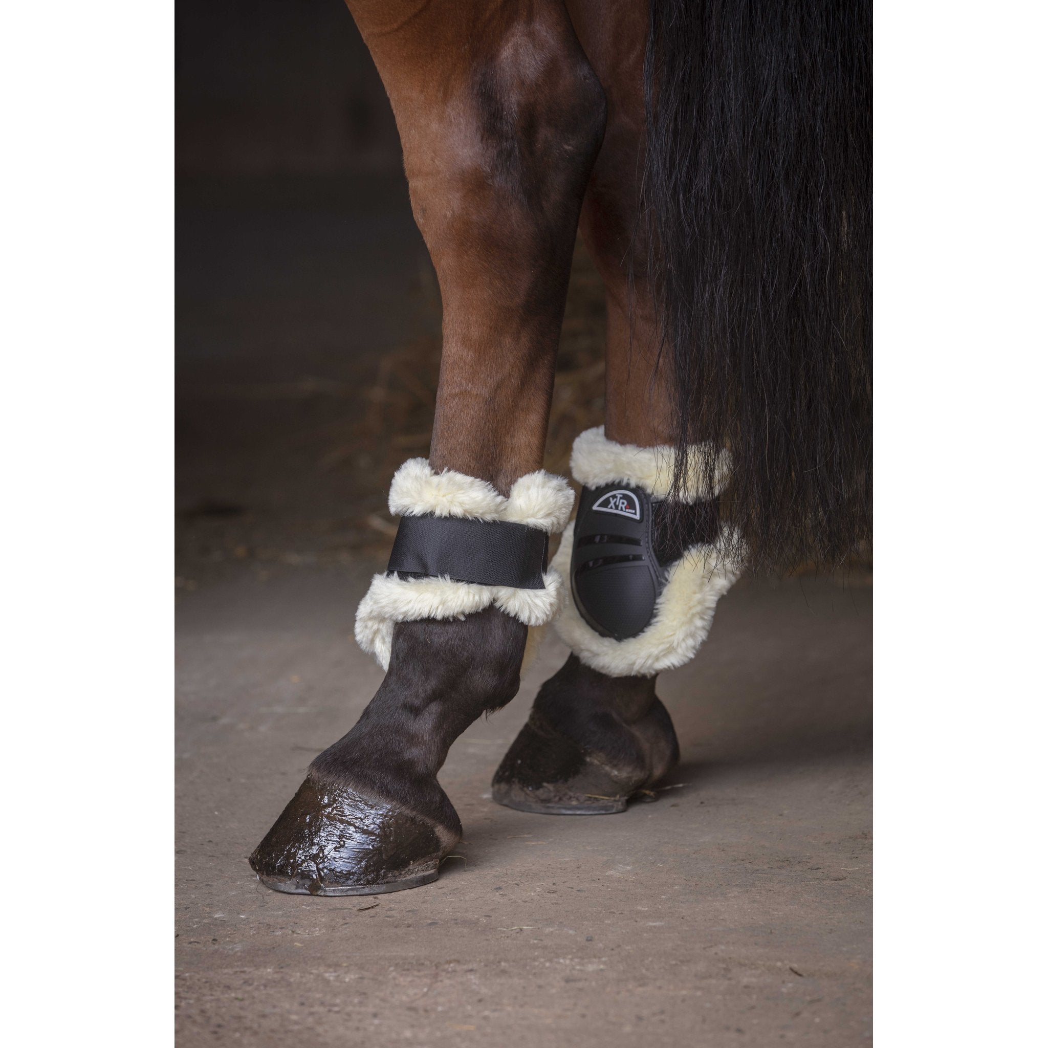 Norton XTR Sheepskin Fetlock Boots - Black - 530671023_ambi_2