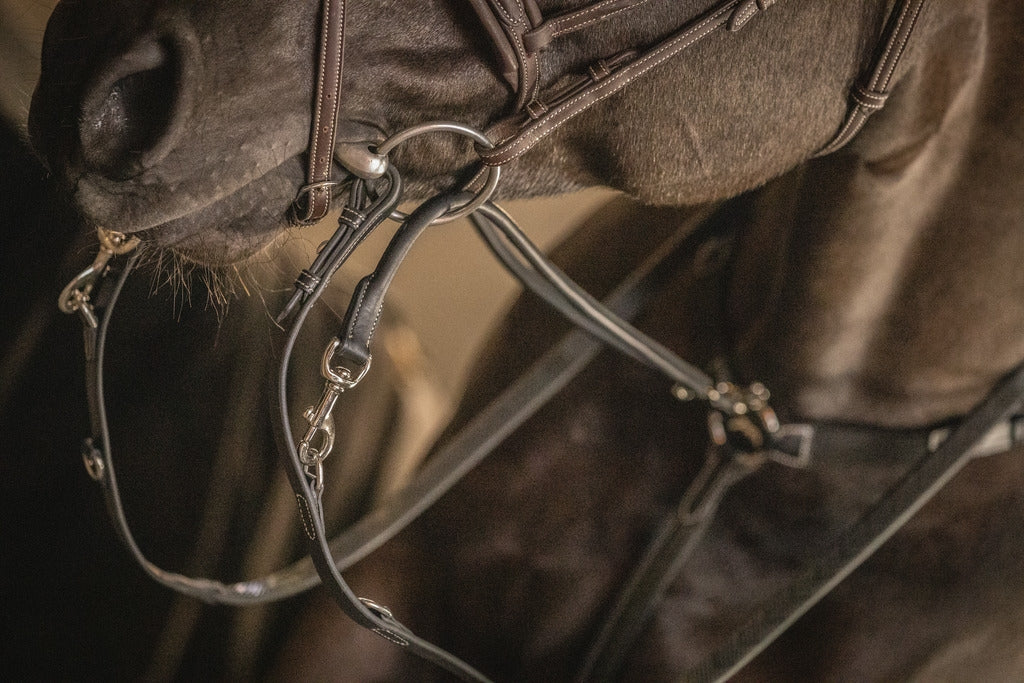 Pénélope Howlett training aid Black