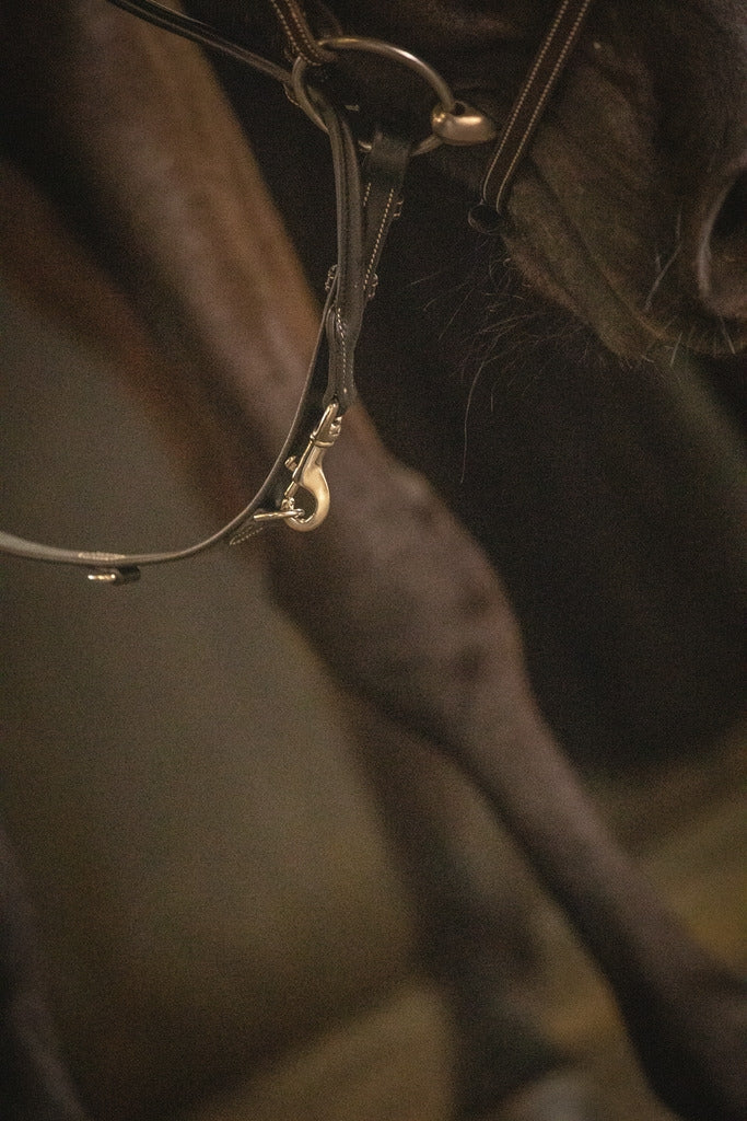 Pénélope Howlett training aid Black